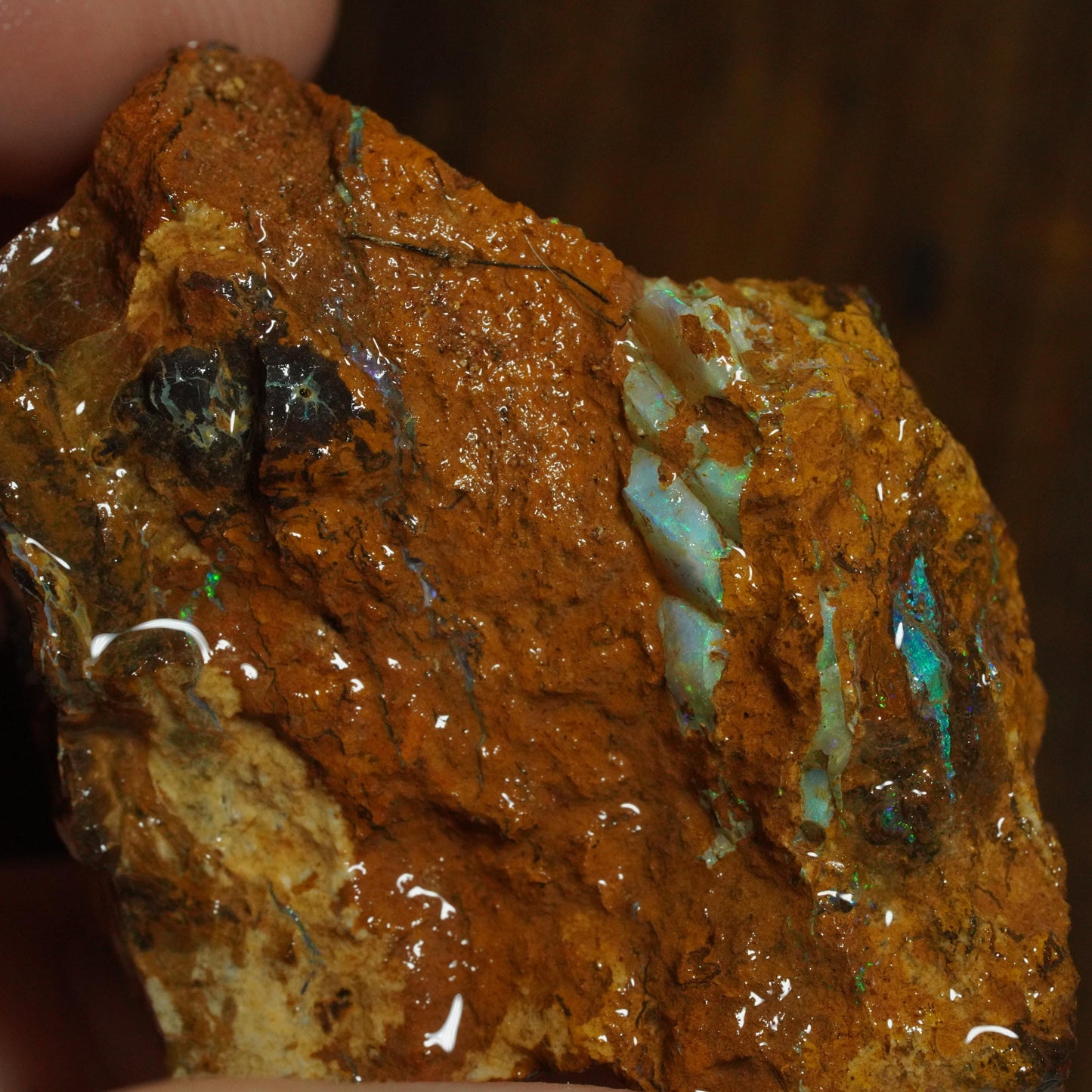 Rough Boulder Opal