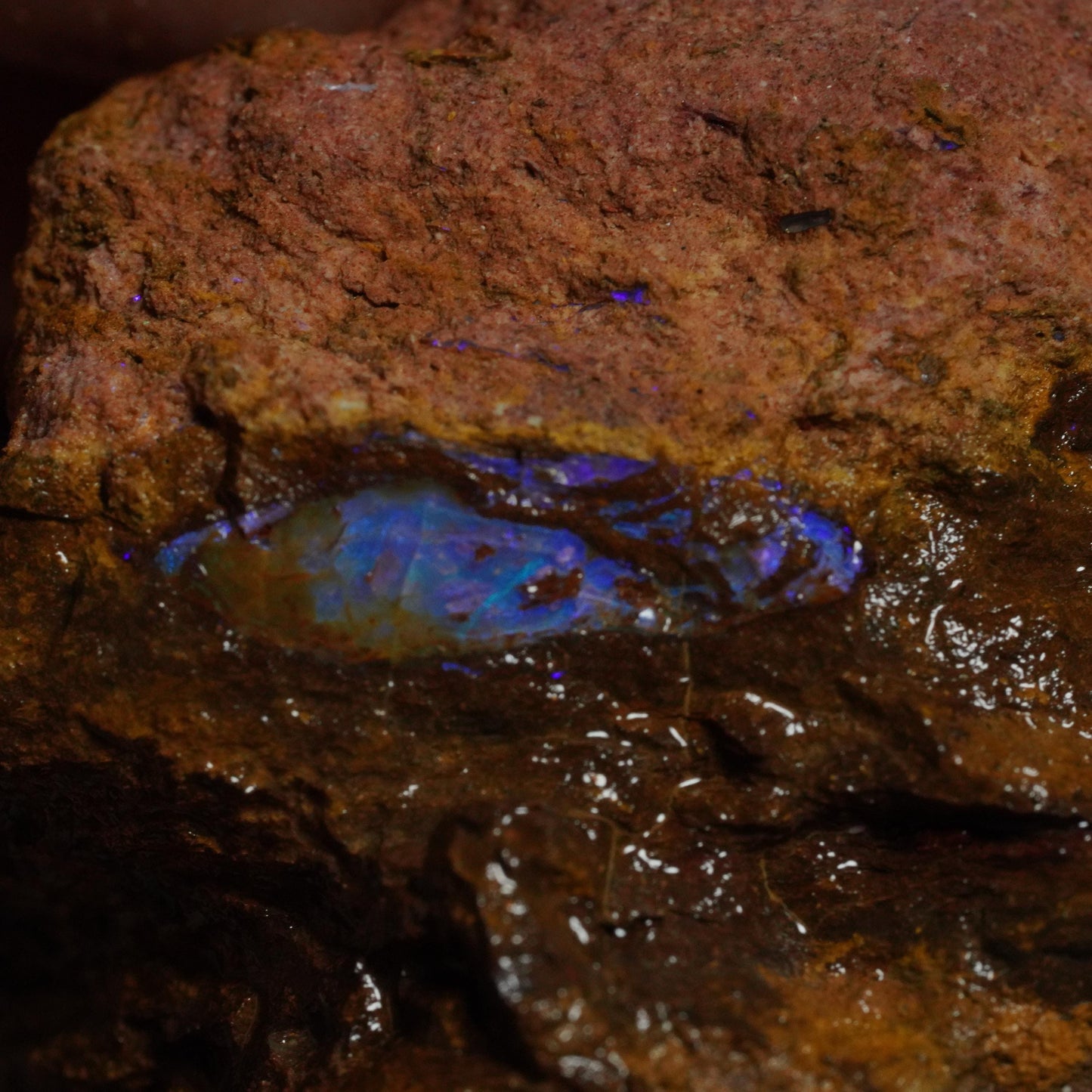 Rough Boulder Opal