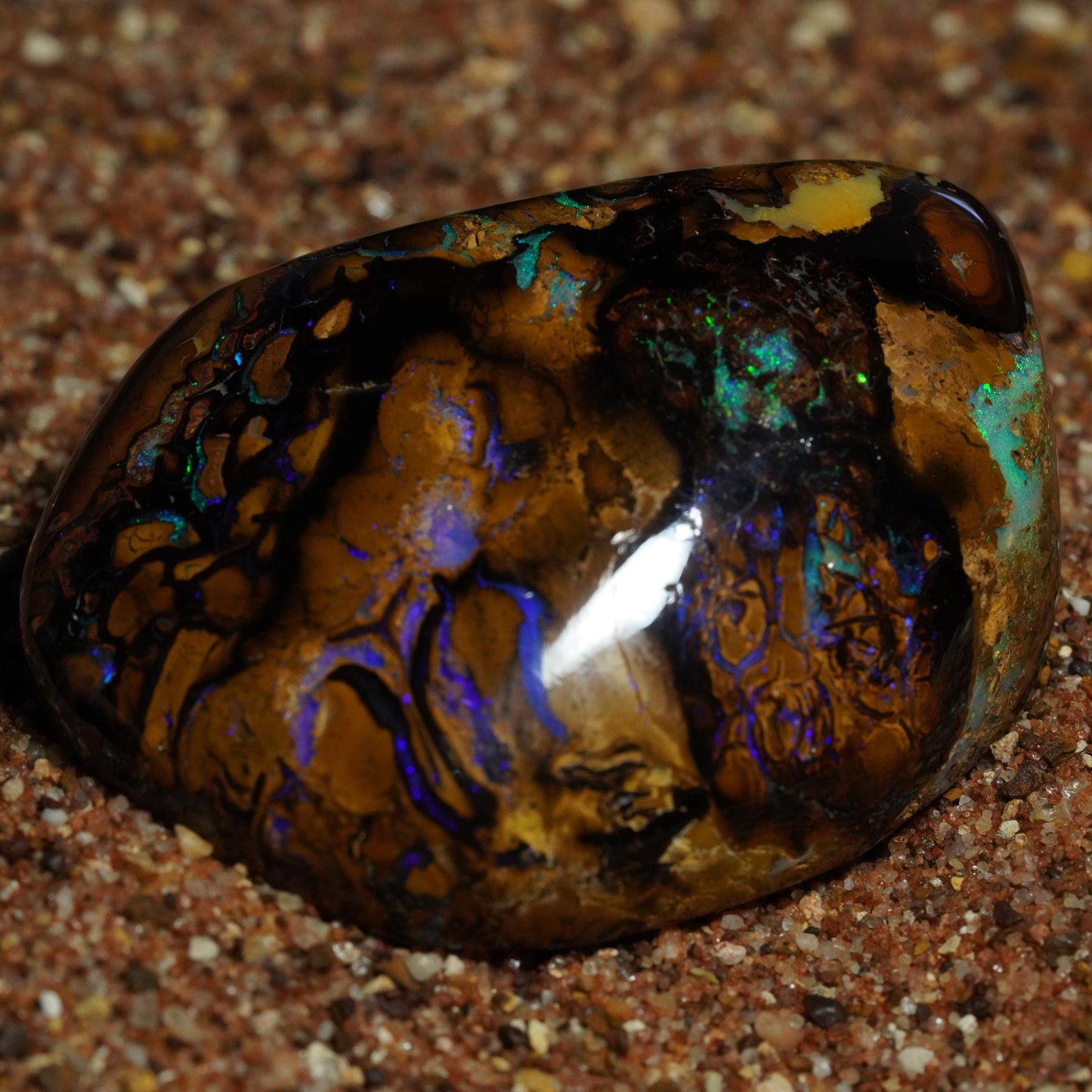 Boulder Opal Cut Stone / Specimen