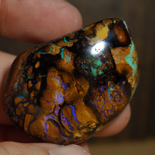 Boulder Opal Cut Stone / Specimen