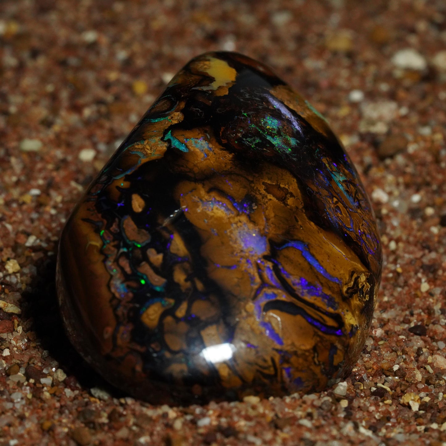 Boulder Opal Cut Stone / Specimen