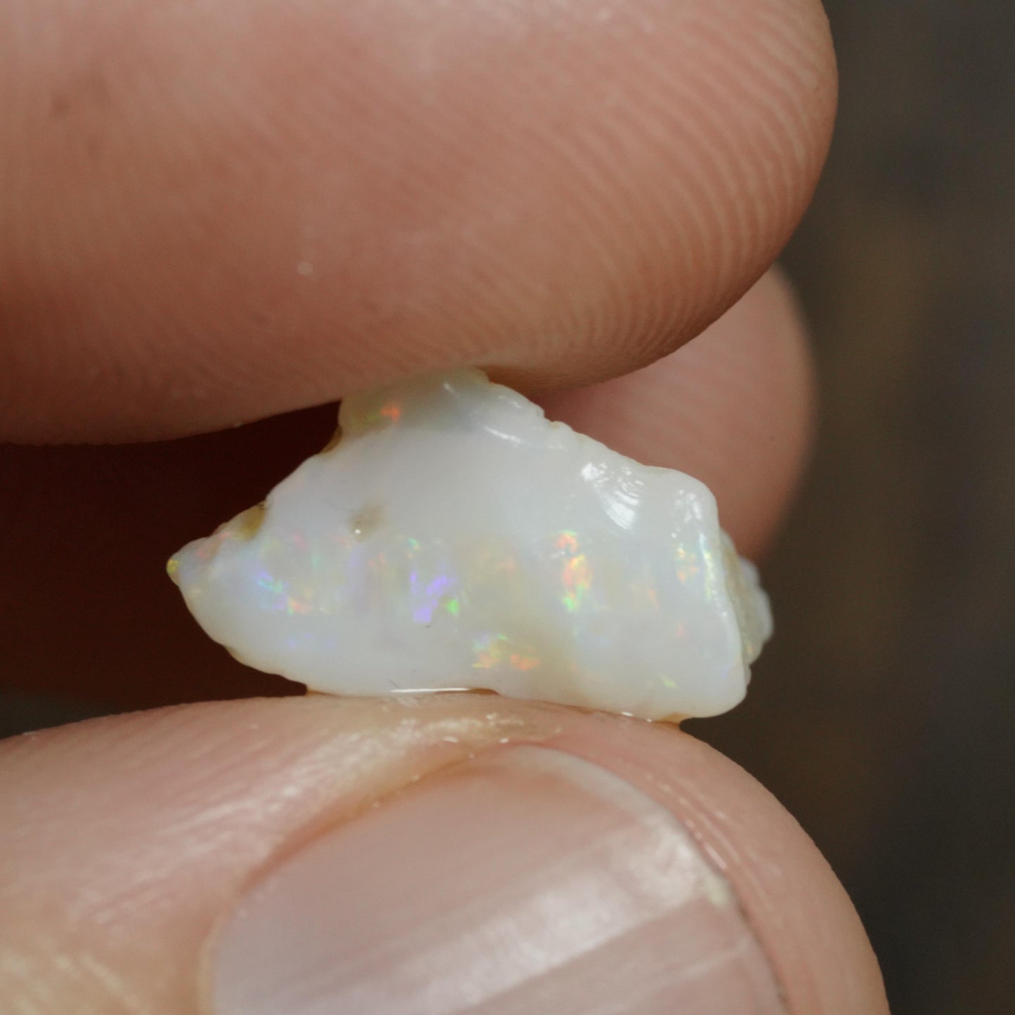 Australian Rough Opal