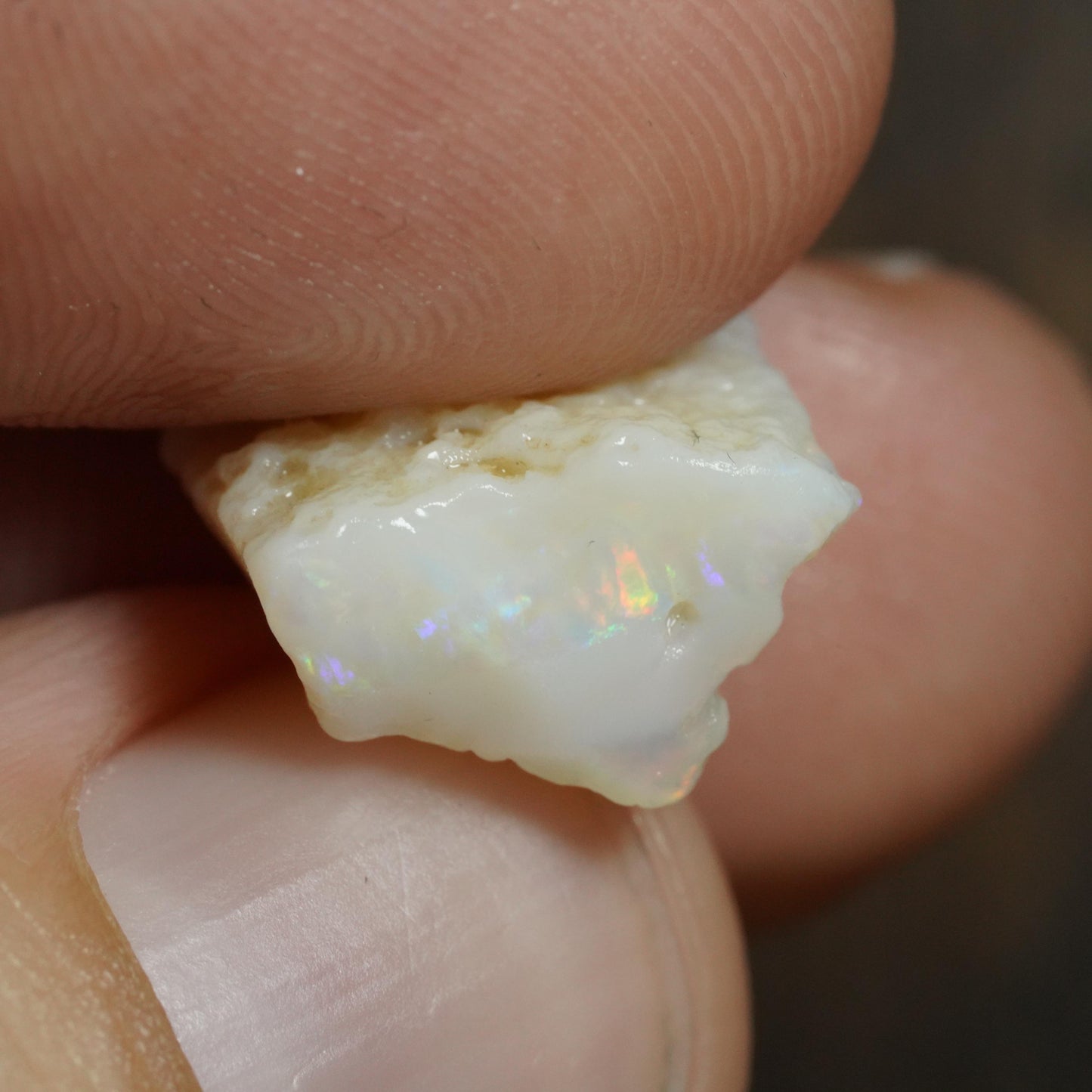 Australian Rough Opal