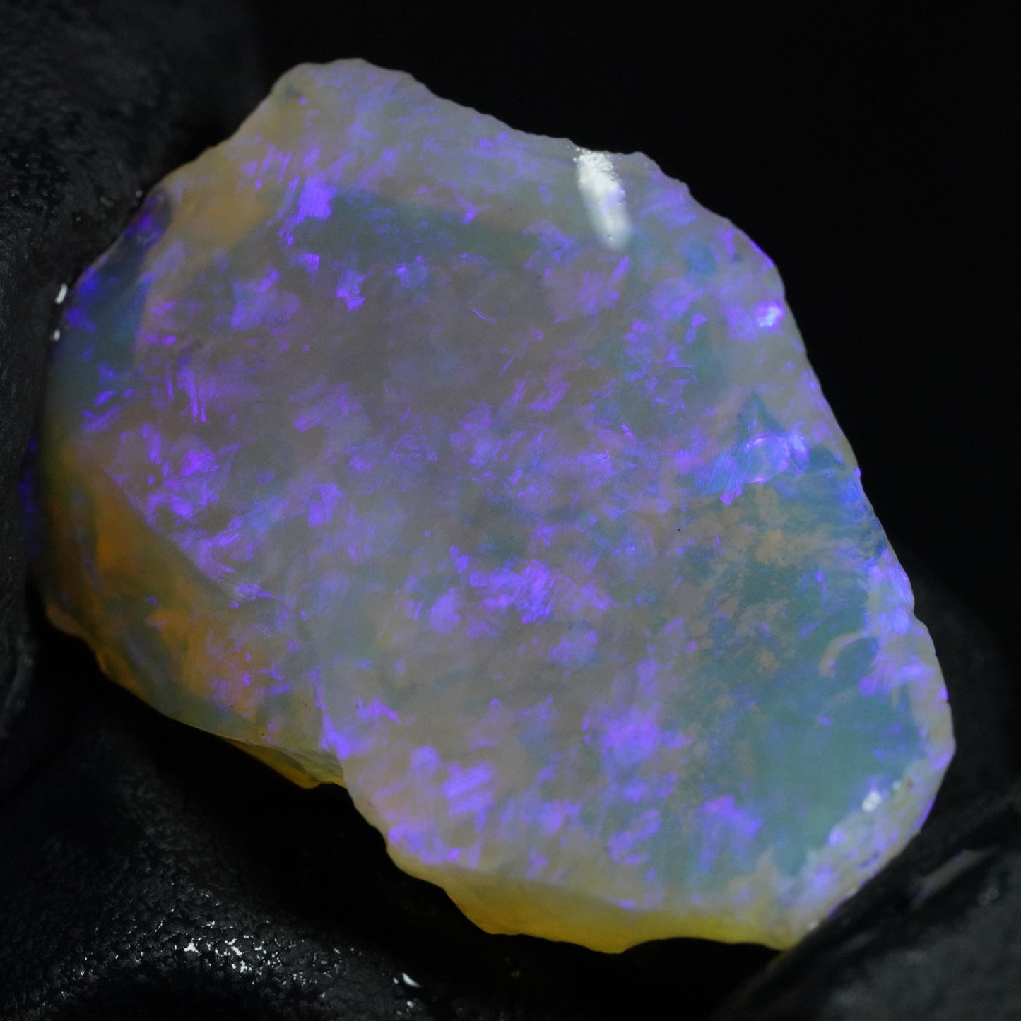 Australian Rough Opal Parcel