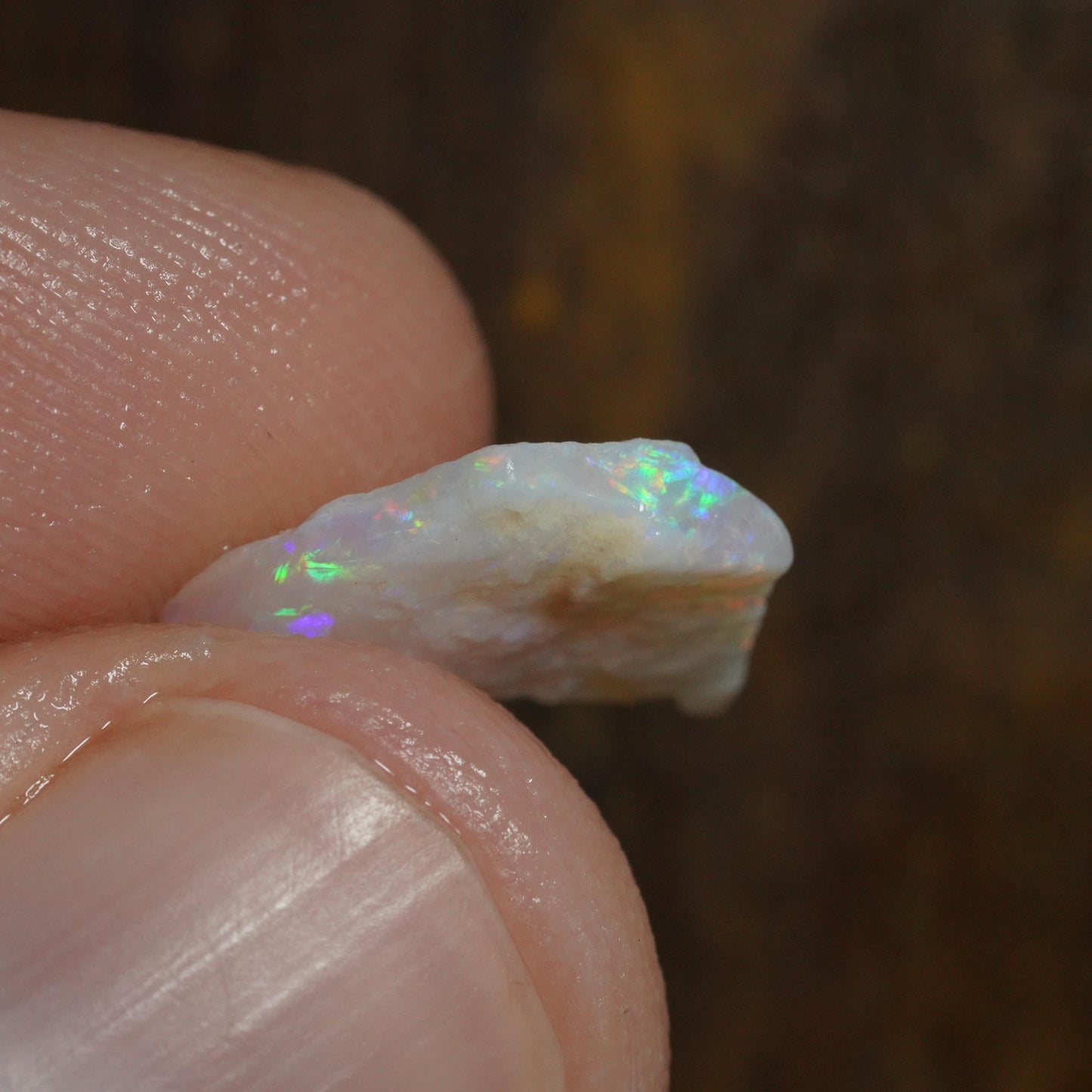 Australian Rough Opal