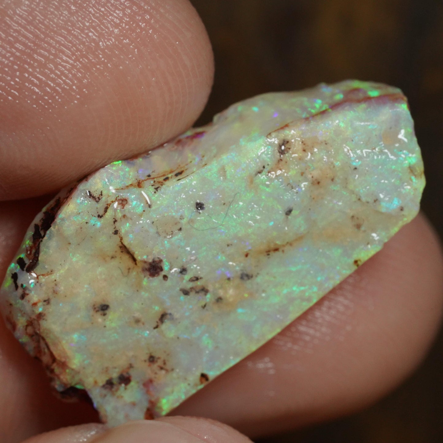 Australian Rough Opal
