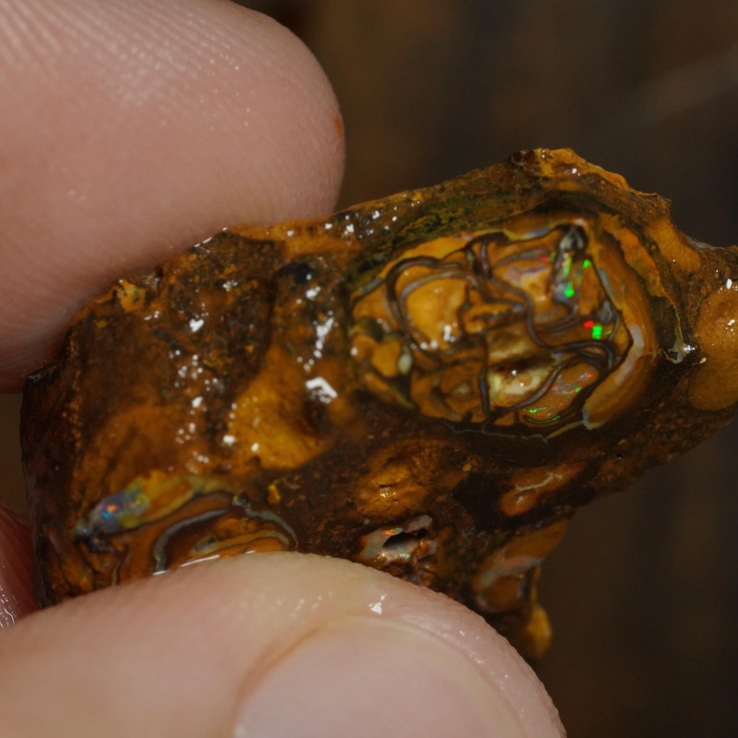 Boulder Opal Slab