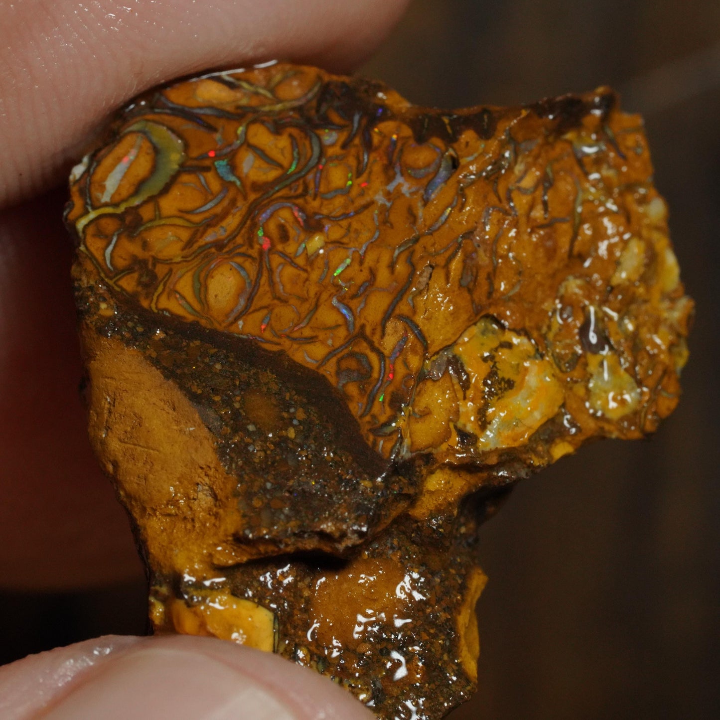 Boulder Opal Slab