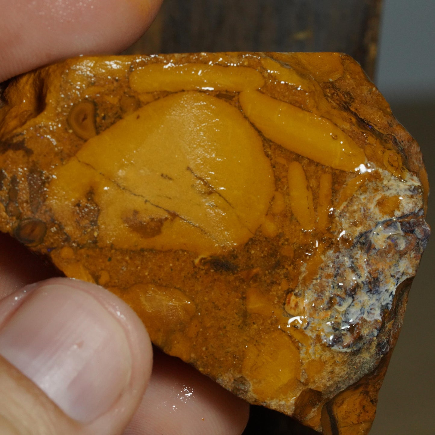 Boulder Opal Slab