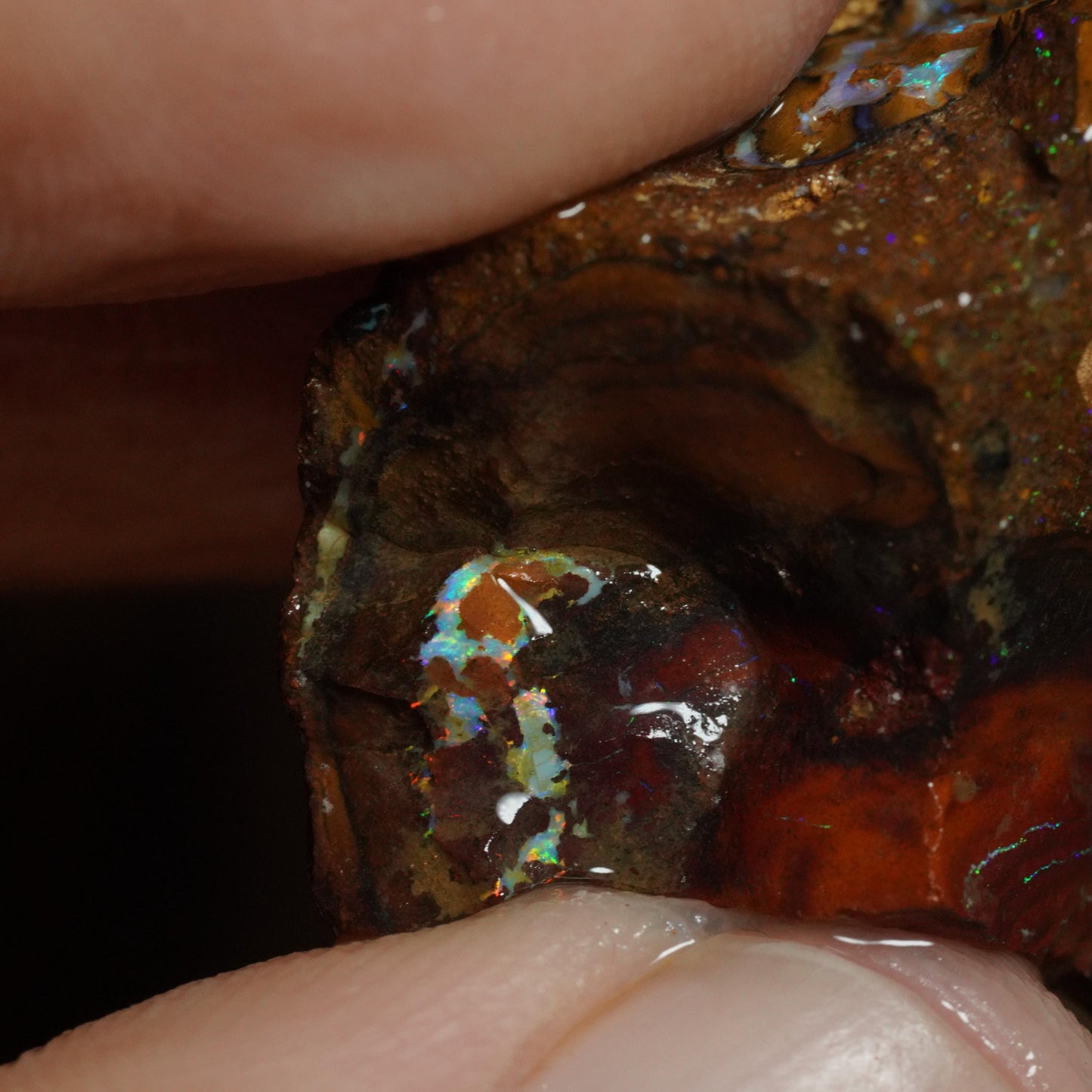 Boulder Opal