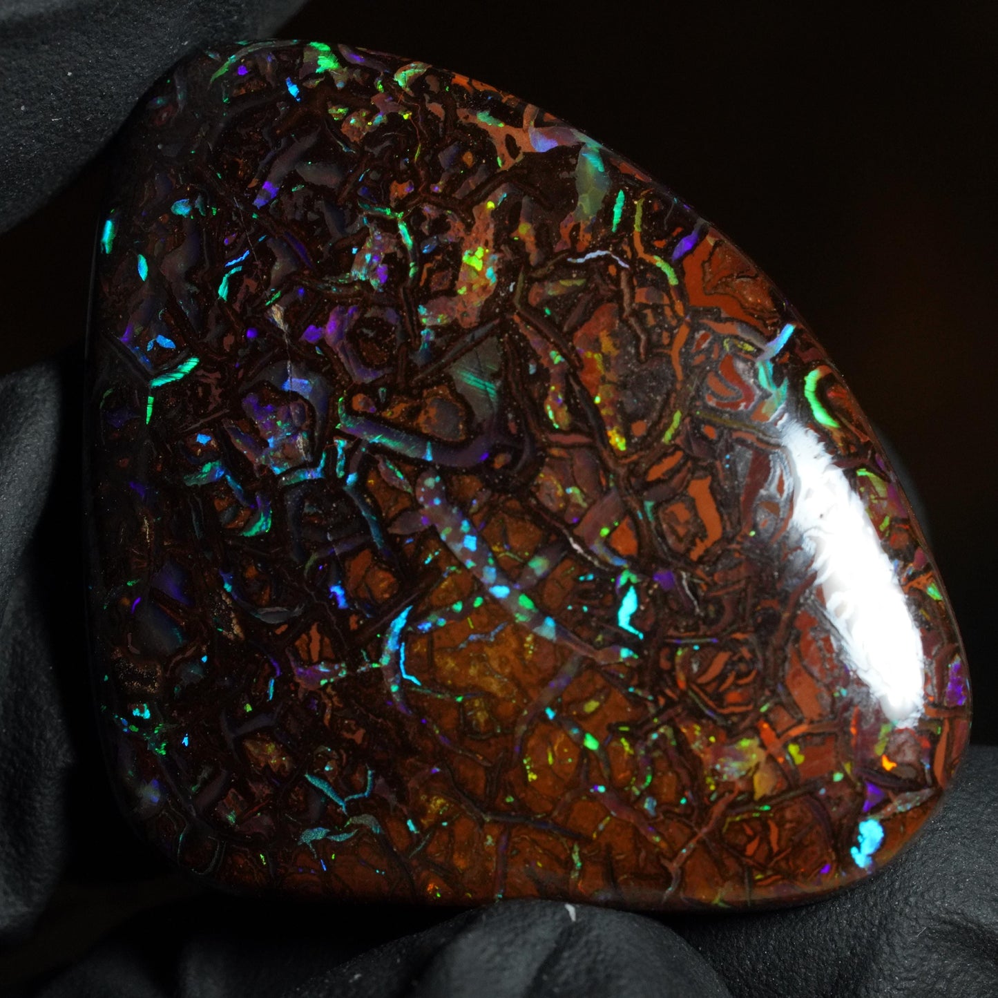Boulder Opal Cut Stone