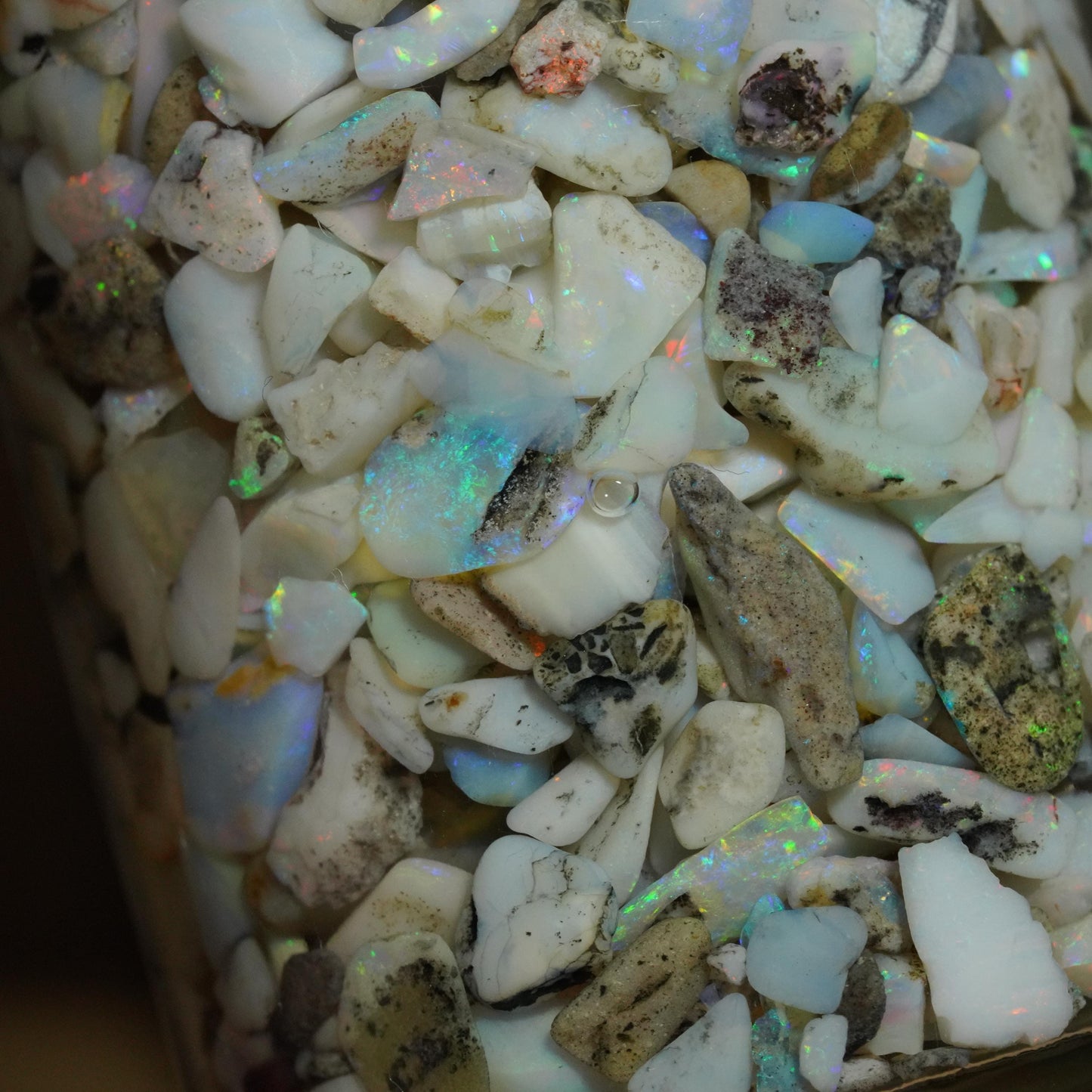 Opal Chips / Rubs Jar