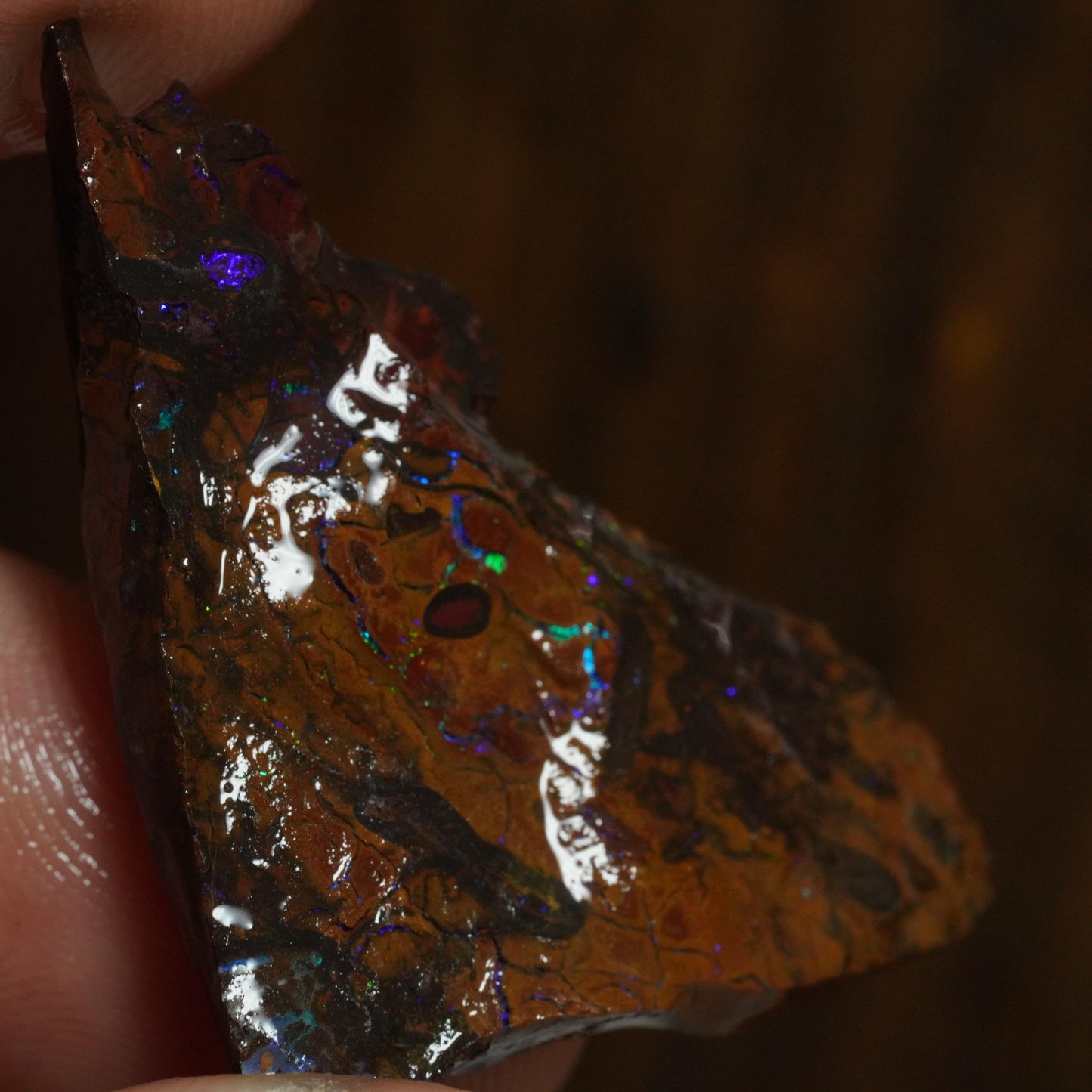 Rough Boulder Opal