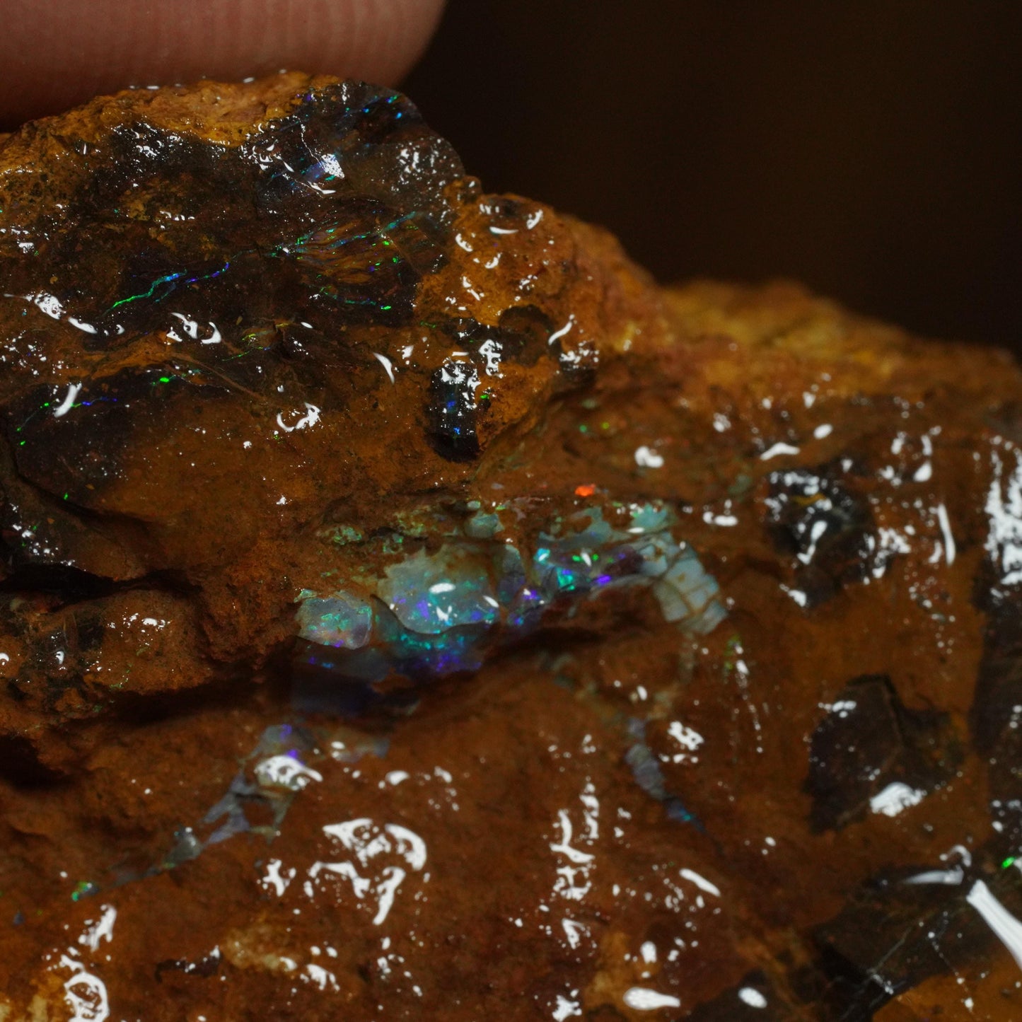 Rough Boulder Opal