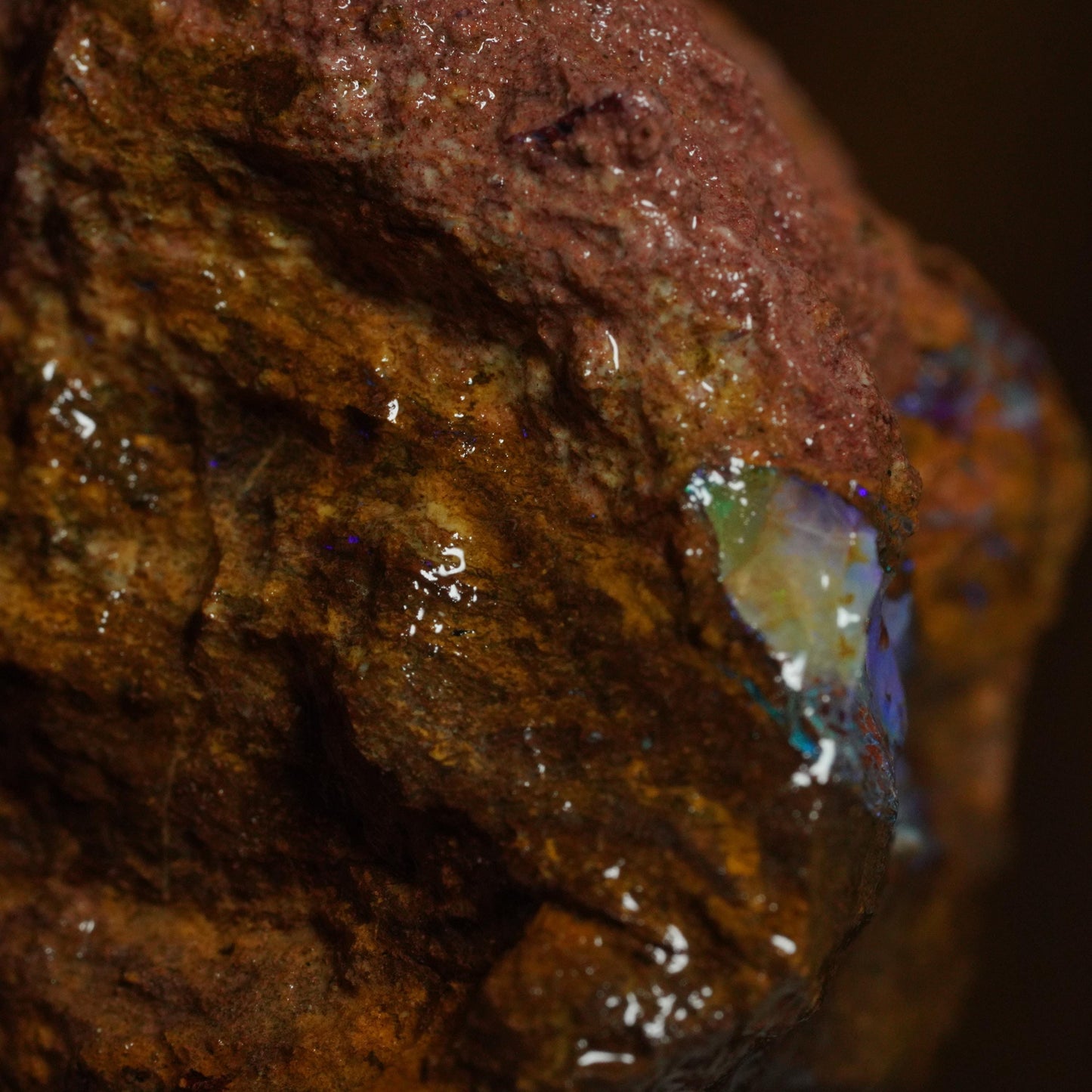 Rough Boulder Opal
