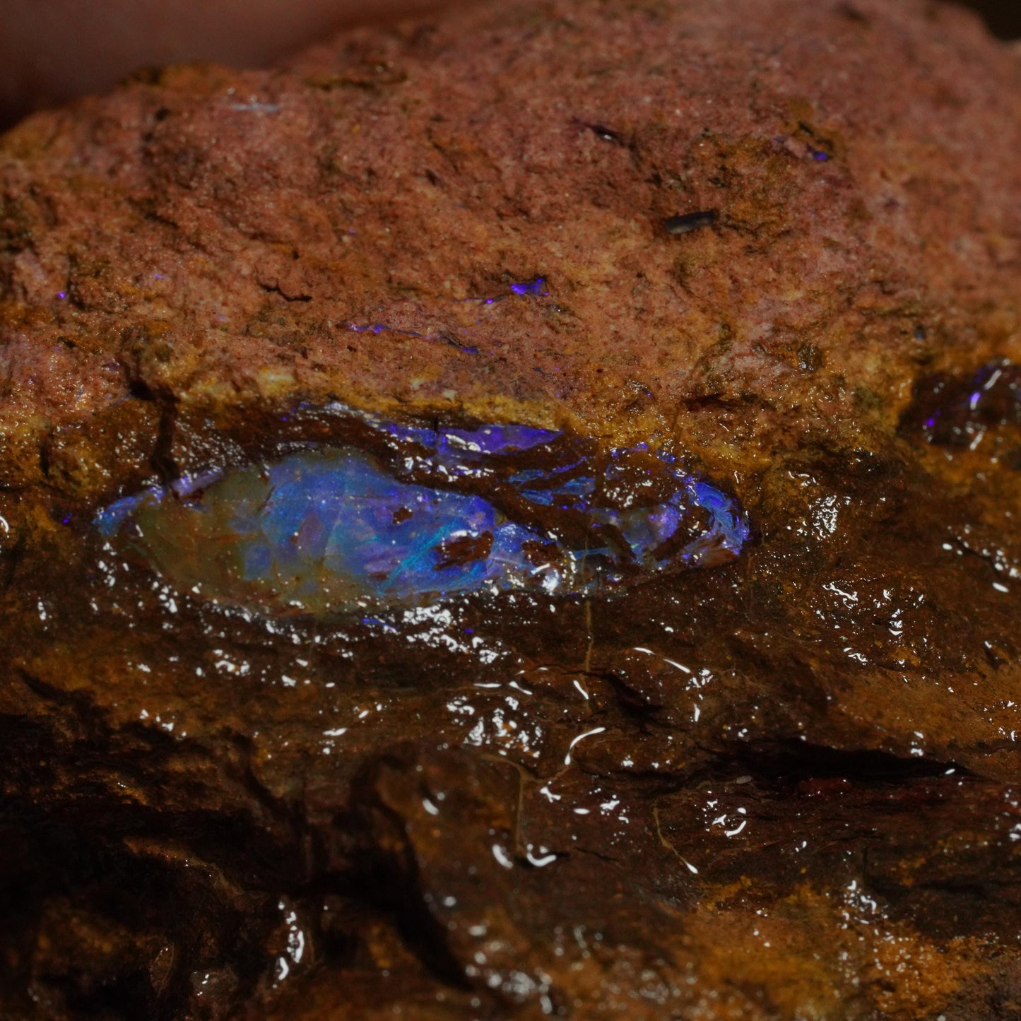 Rough Boulder Opal