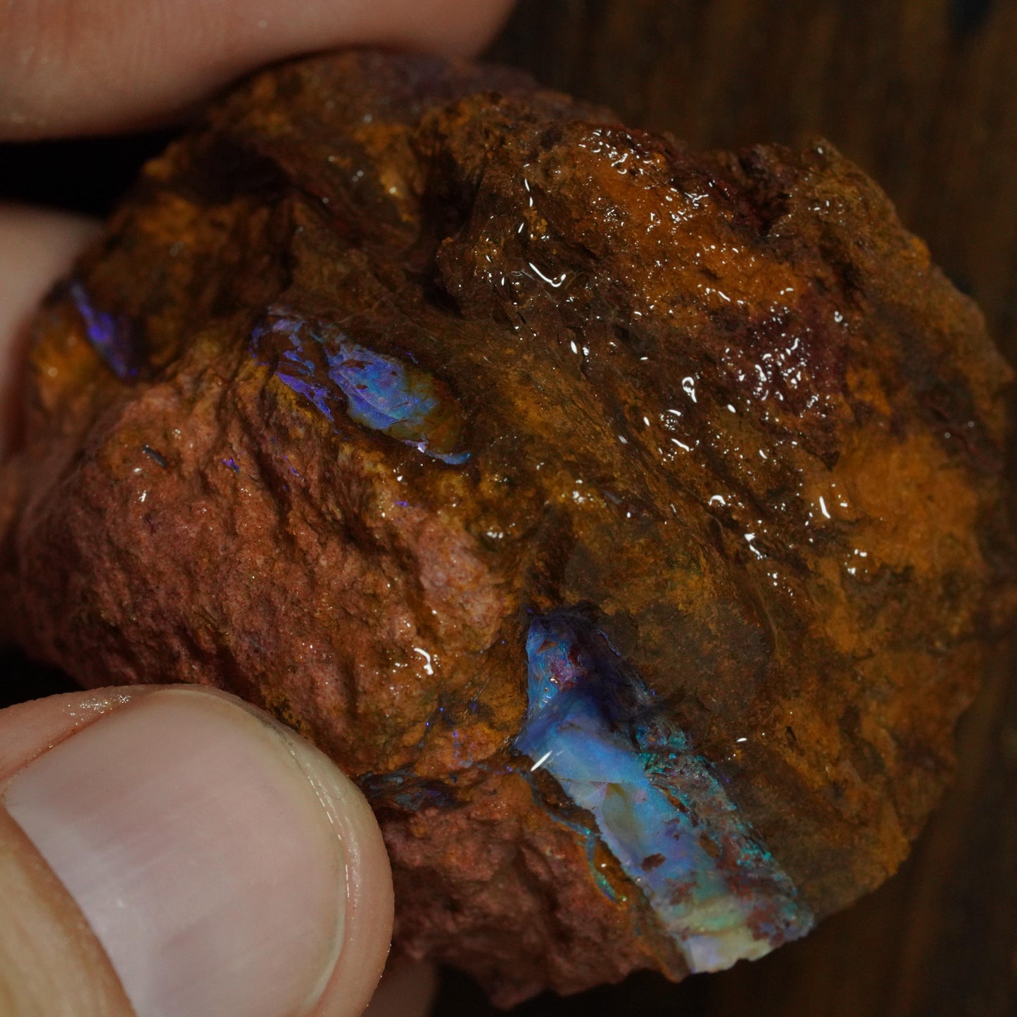 Rough Boulder Opal