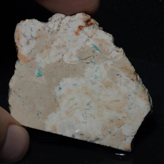Petrified Opalised Wood
