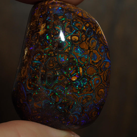 Boulder Opal Cut Stone / Specimen