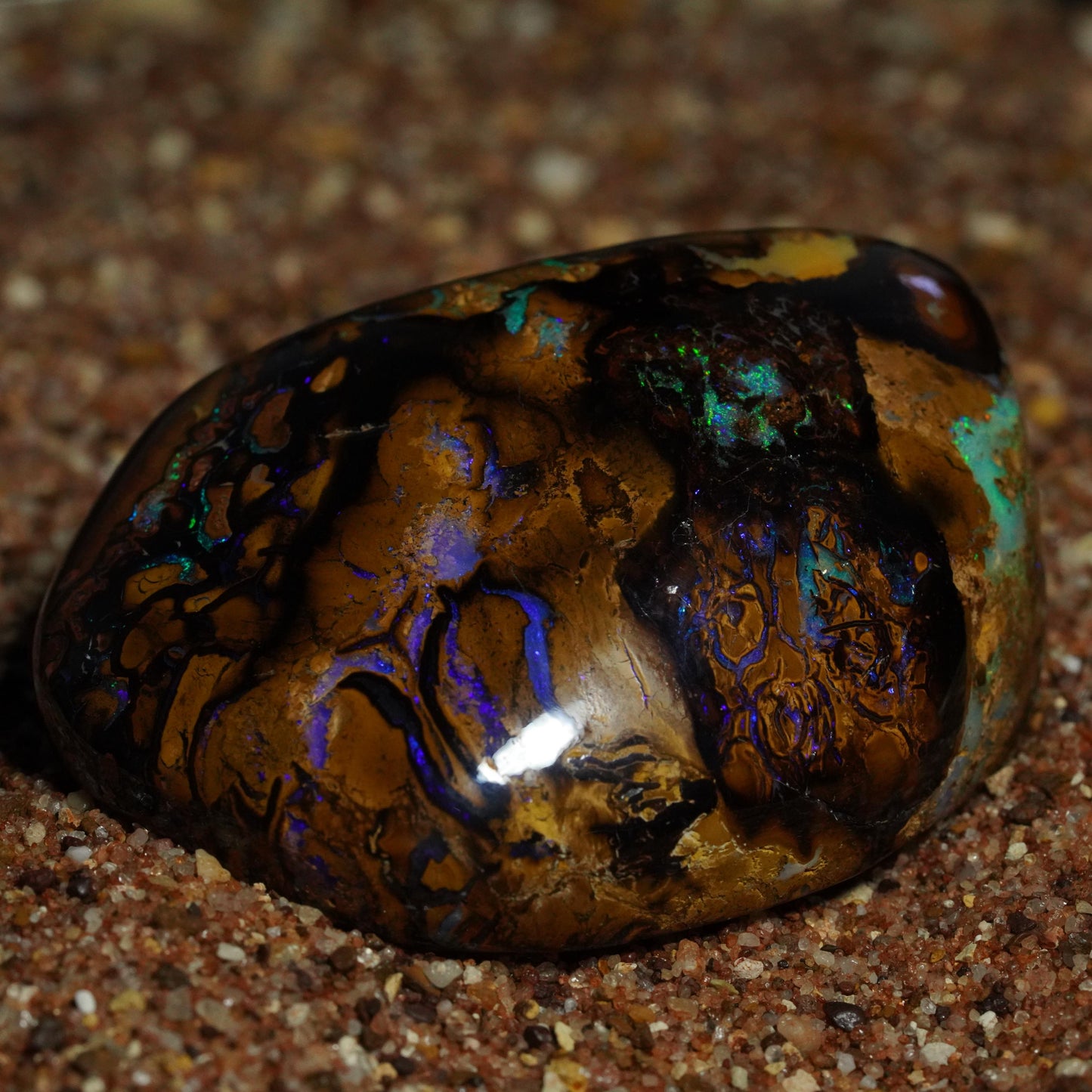 Boulder Opal Cut Stone / Specimen
