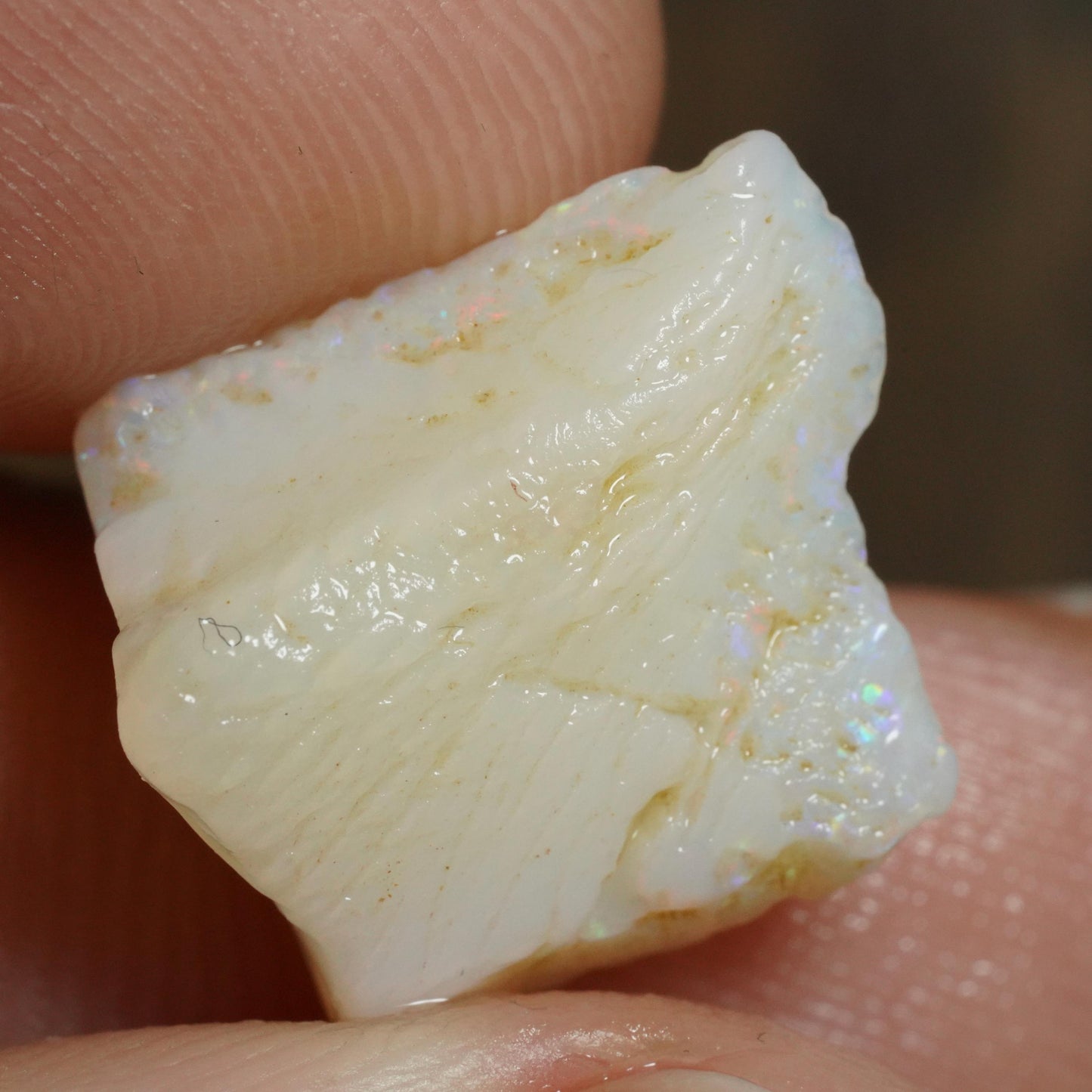 Australian Rough Opal