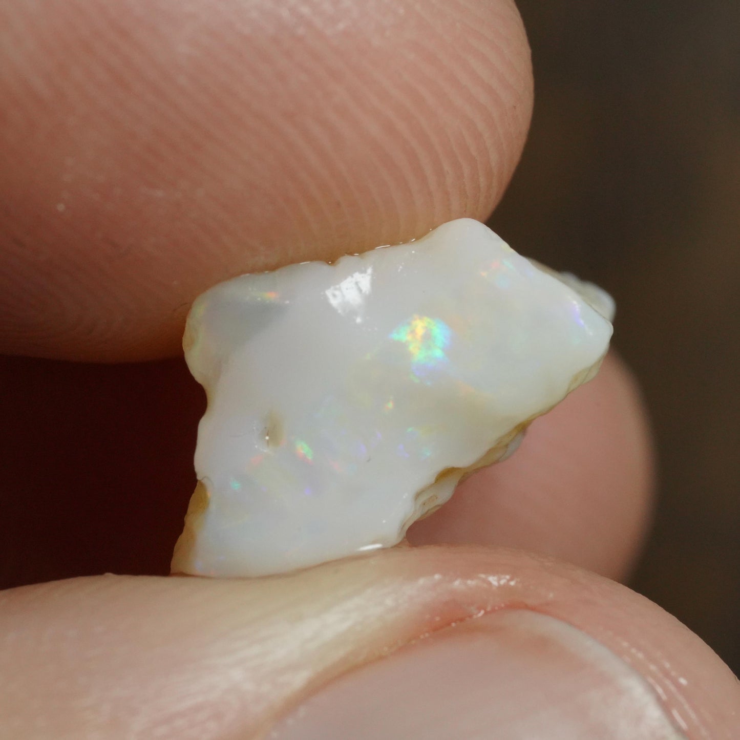 Australian Rough Opal