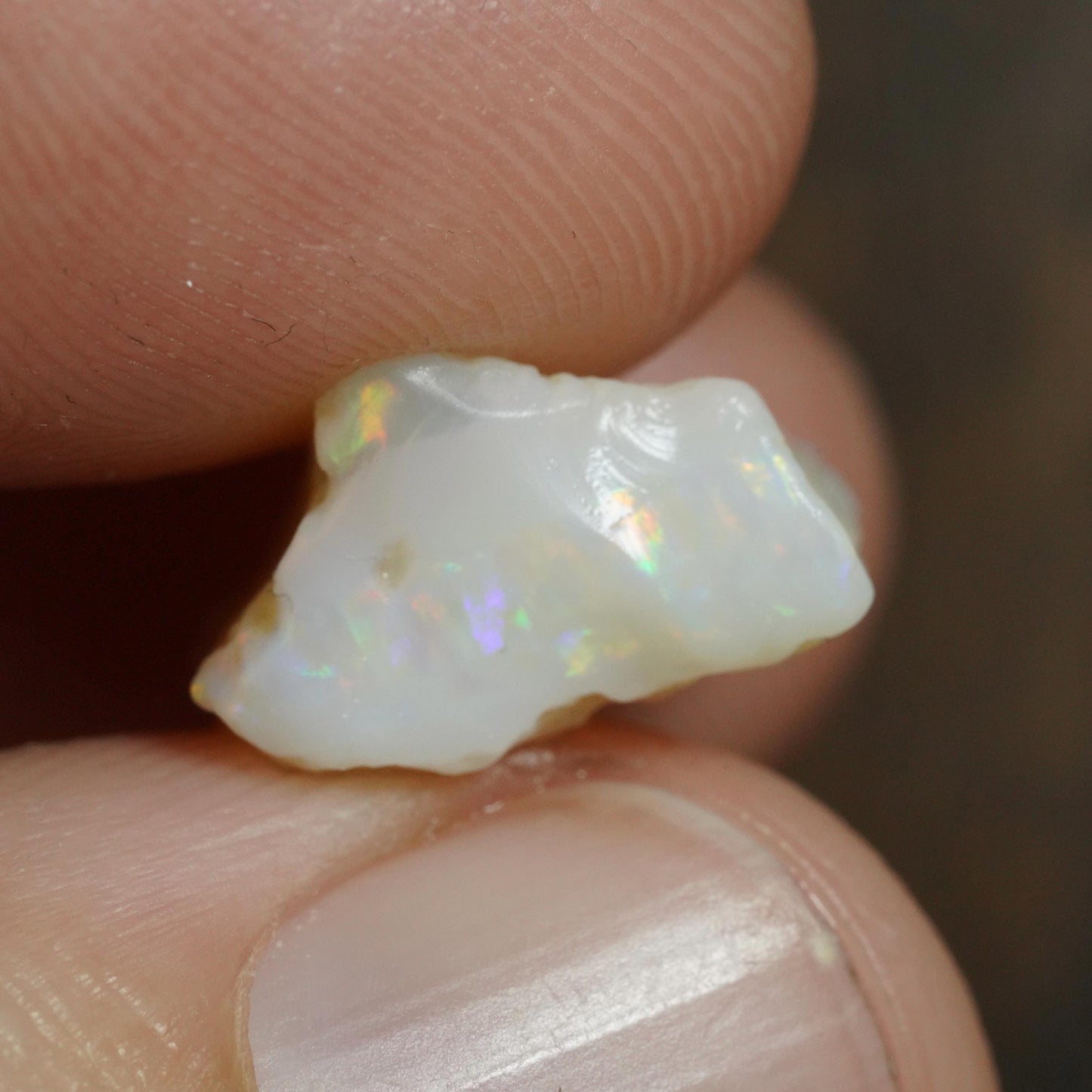 Australian Rough Opal