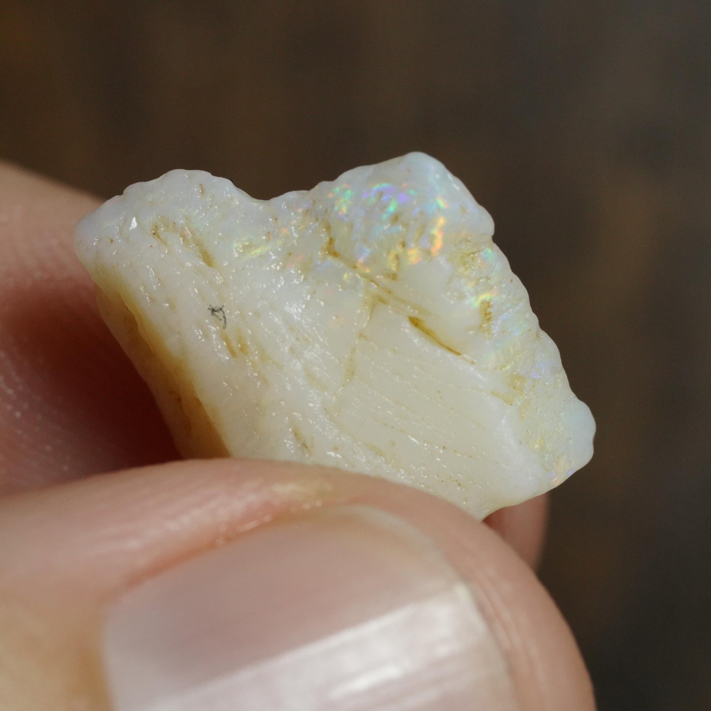 Australian Rough Opal