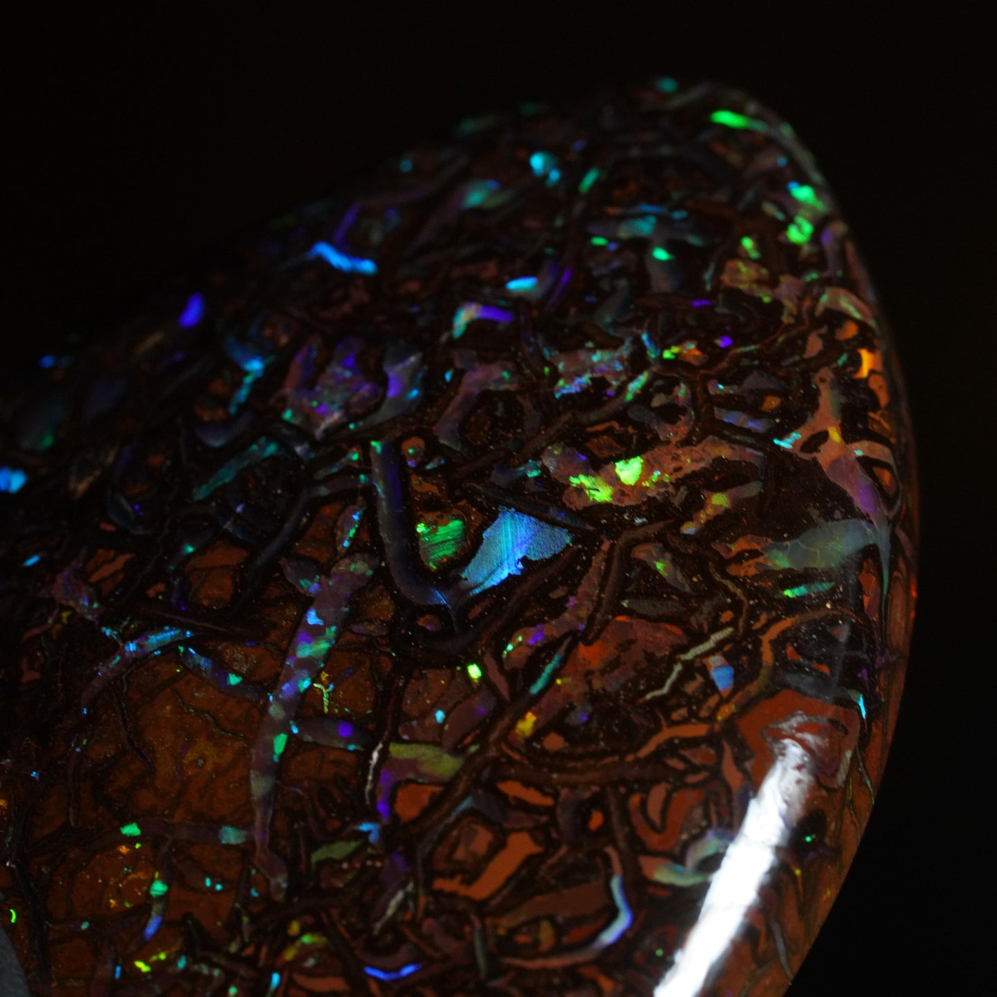 Boulder Opal Cut Stone