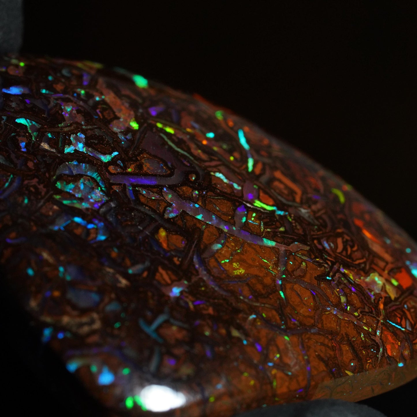 Boulder Opal Cut Stone