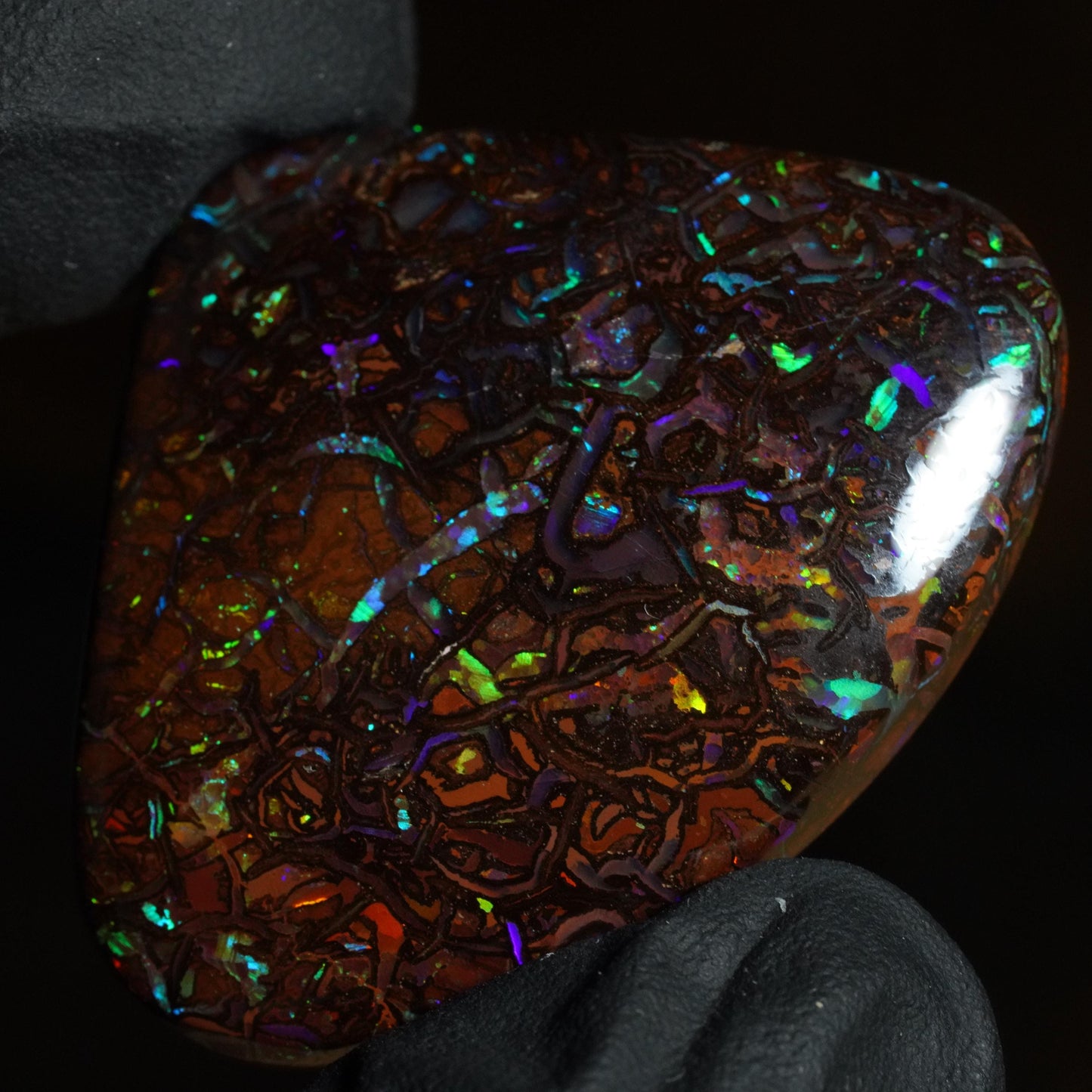 Boulder Opal Cut Stone