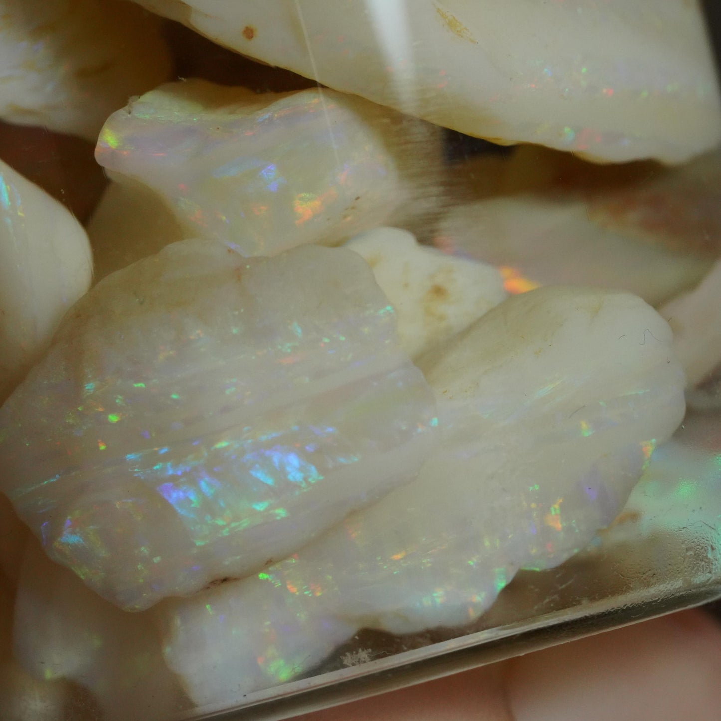 Australian Rough Opal Parcel