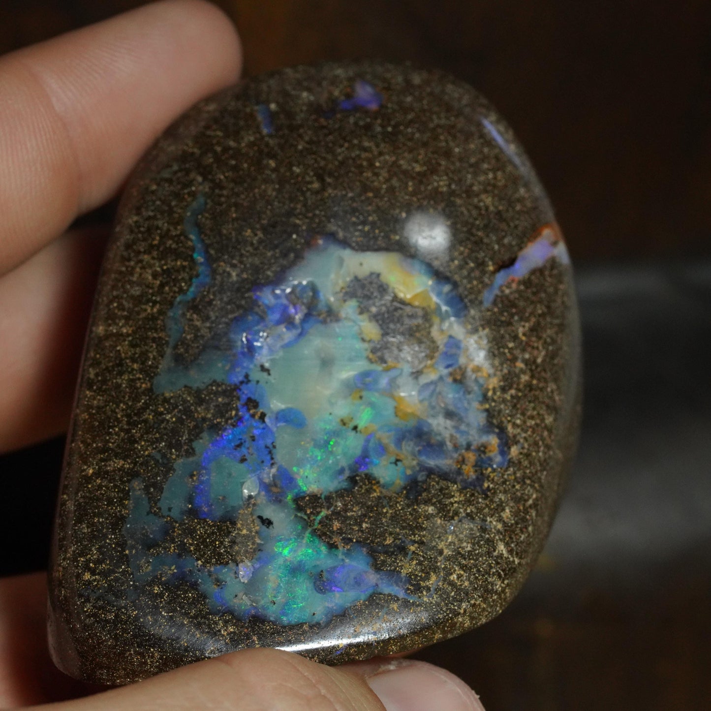 Boulder Opal Cut Stone / Specimen