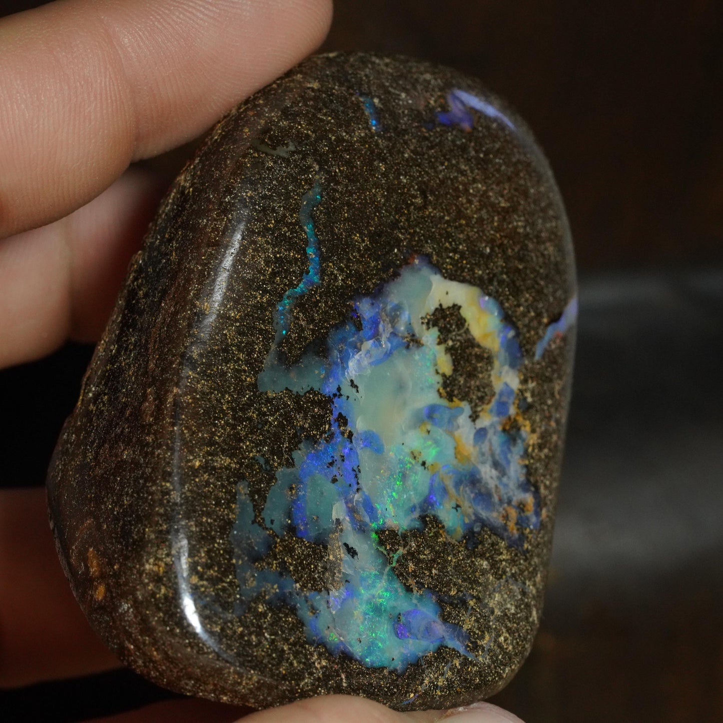 Boulder Opal Cut Stone / Specimen