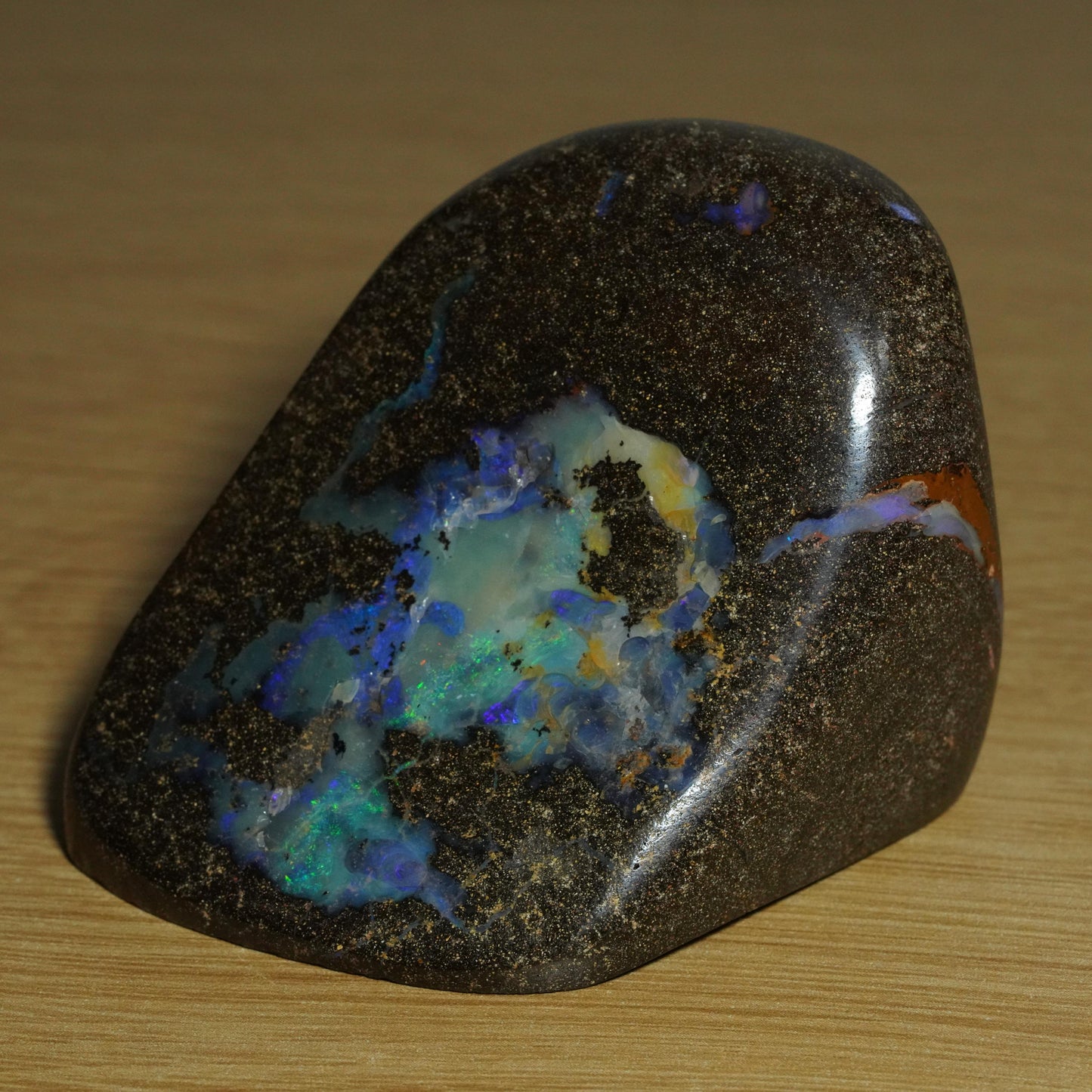 Boulder Opal Cut Stone / Specimen