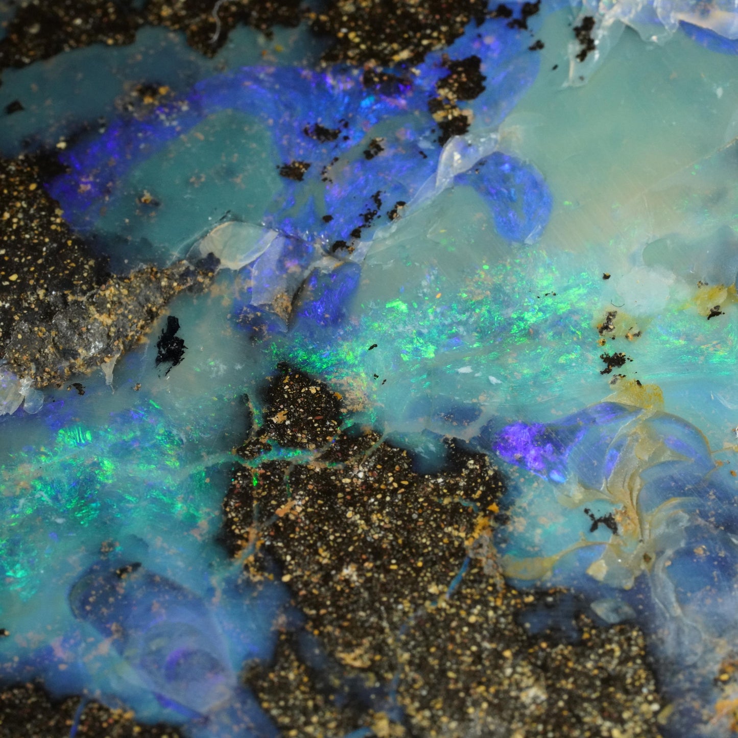 Boulder Opal Cut Stone / Specimen