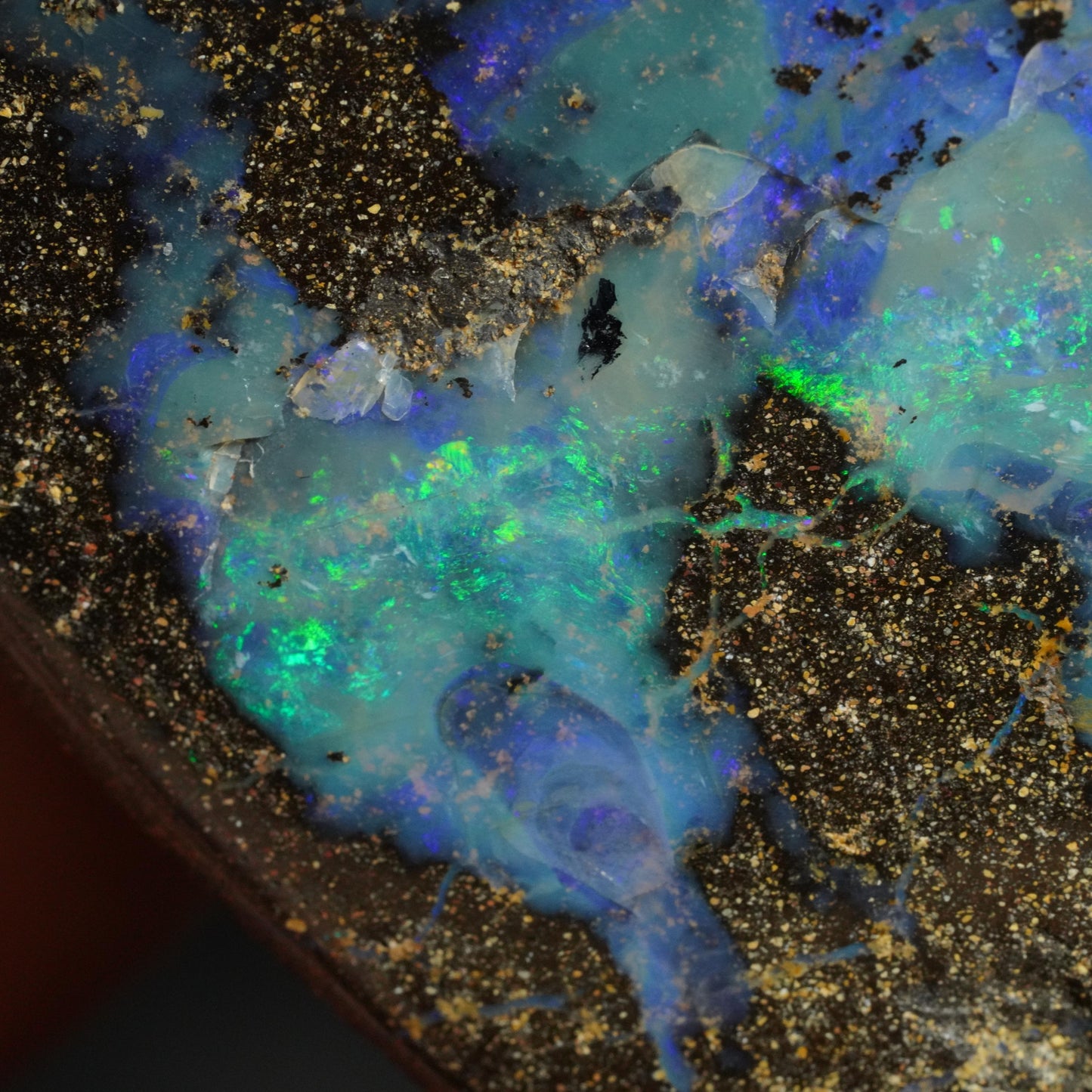 Boulder Opal Cut Stone / Specimen