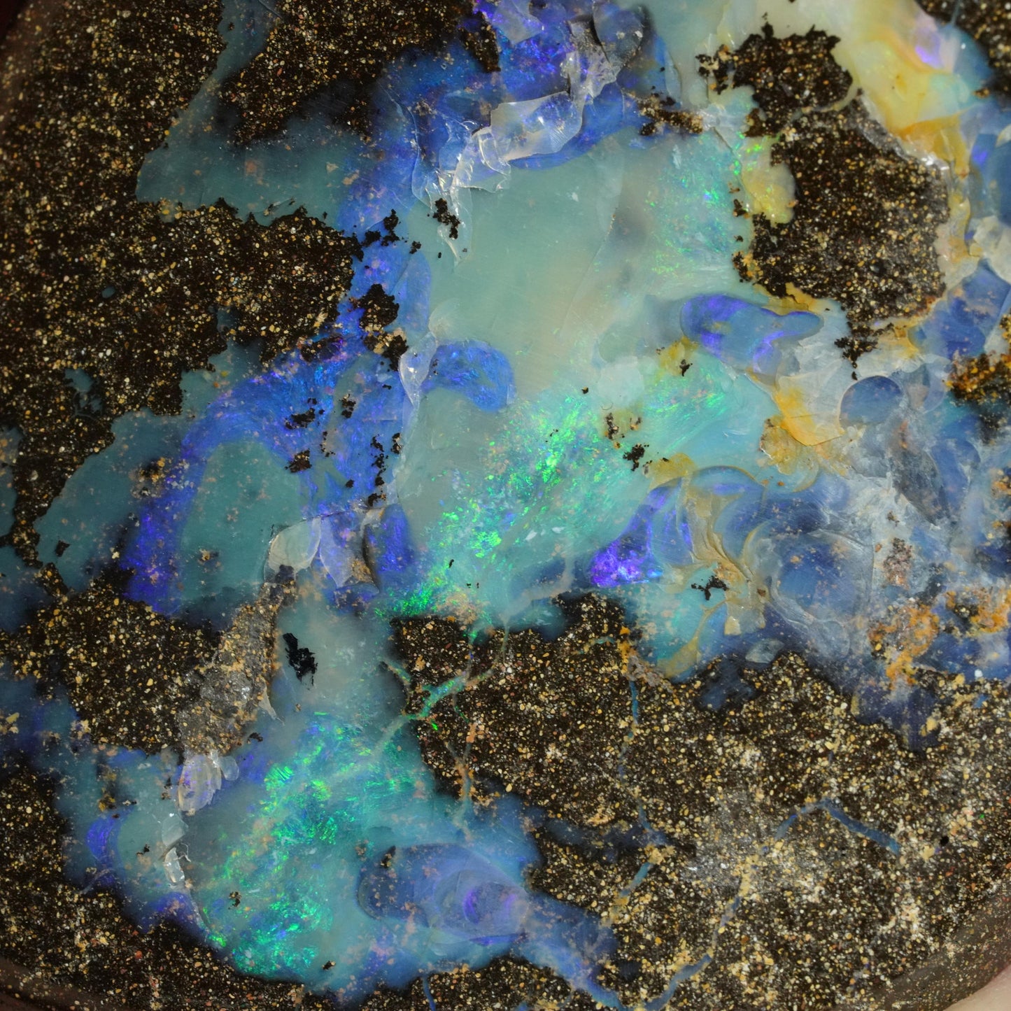Boulder Opal Cut Stone / Specimen