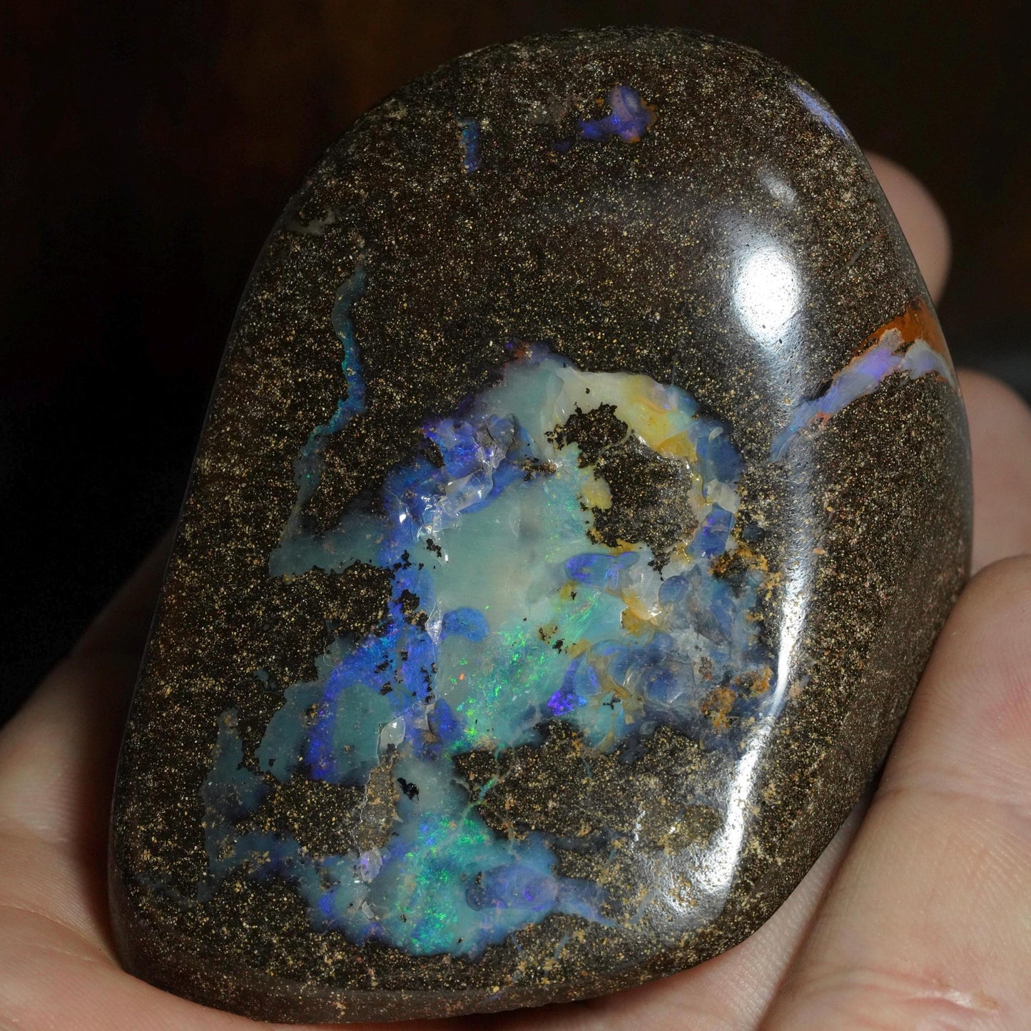 Boulder Opal Cut Stone / Specimen