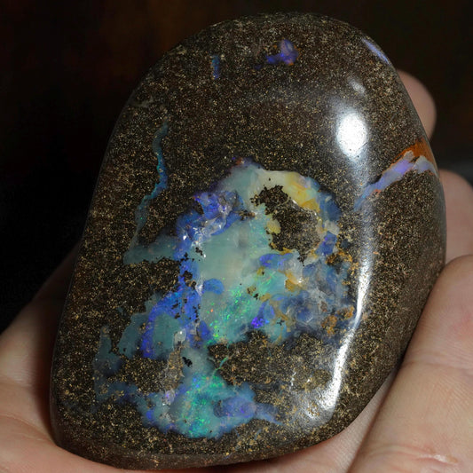 Boulder Opal Cut Stone / Specimen