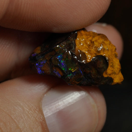 Rough Boulder Opal