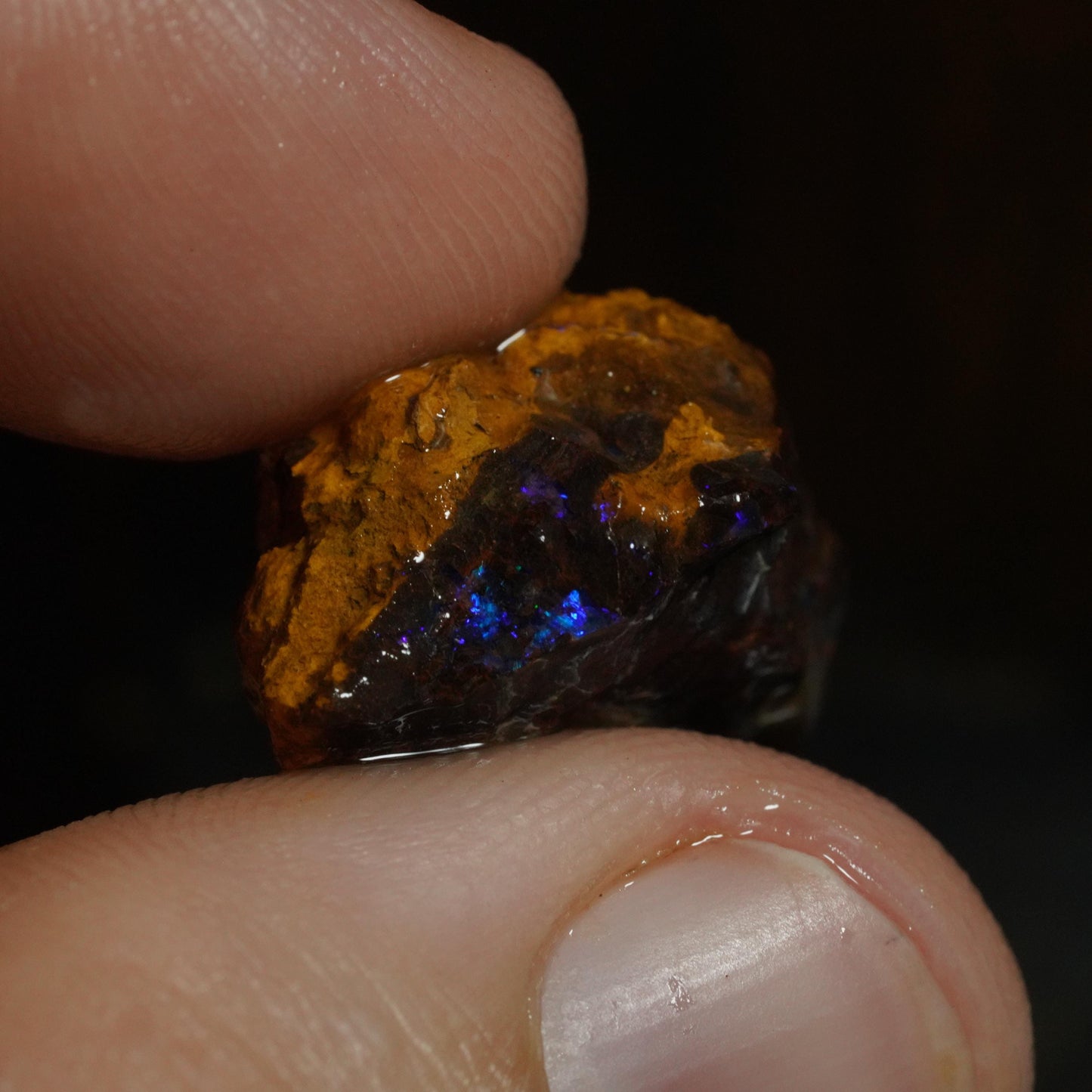 Rough Boulder Opal