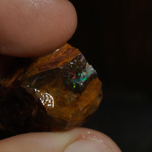Rough Boulder Opal