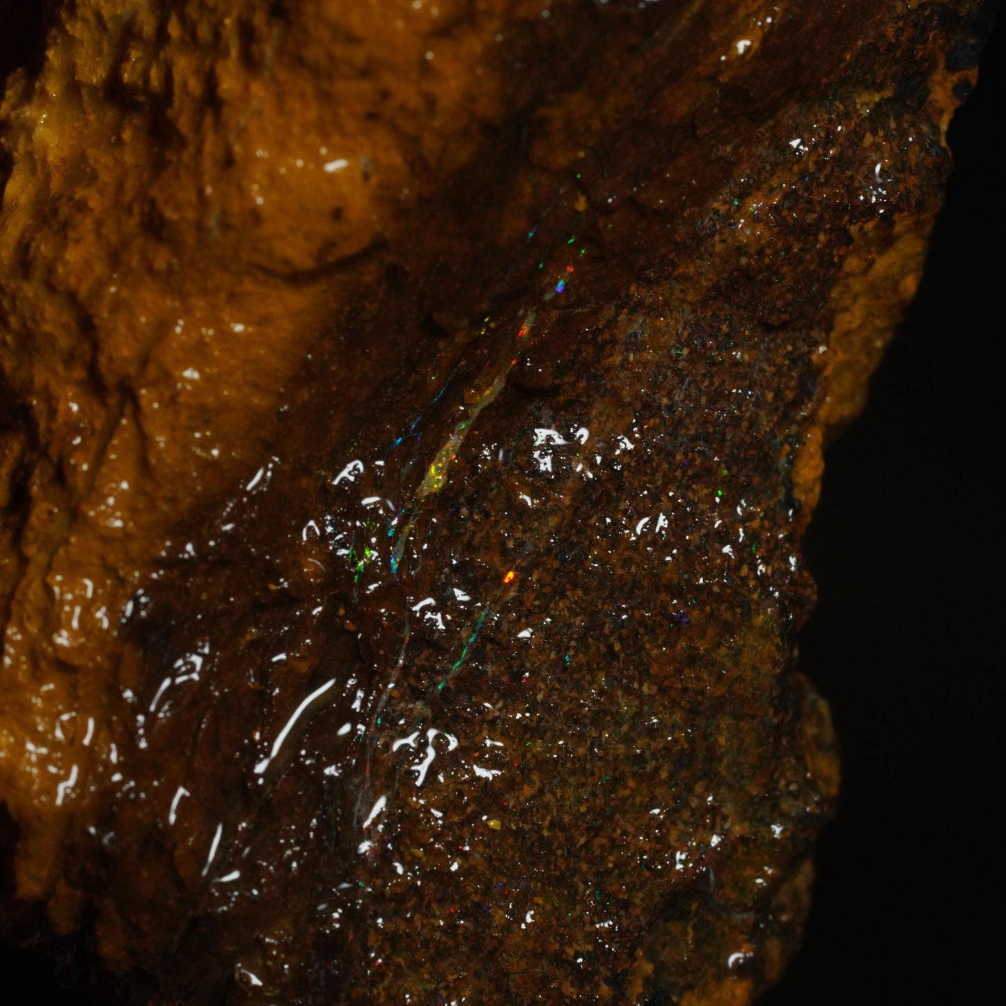 Rough Boulder Opal
