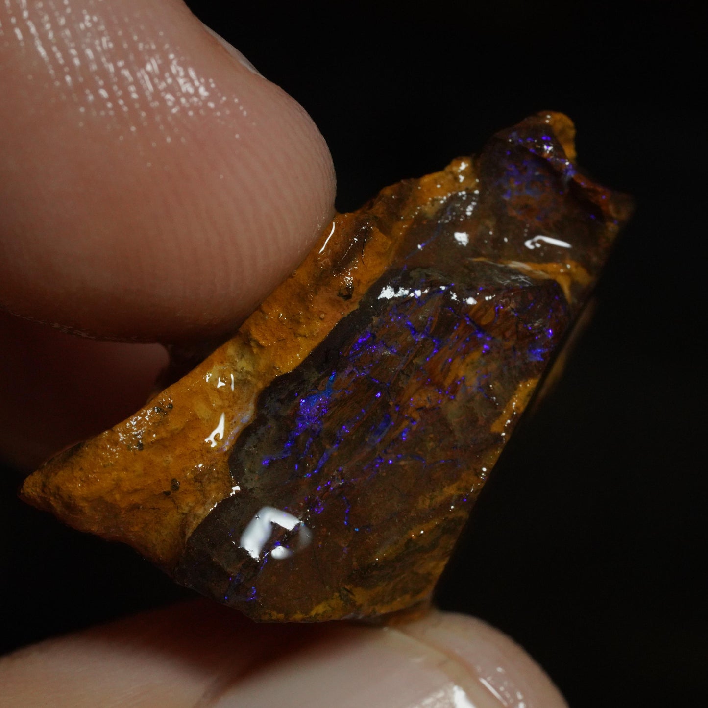 Rough Boulder Opal
