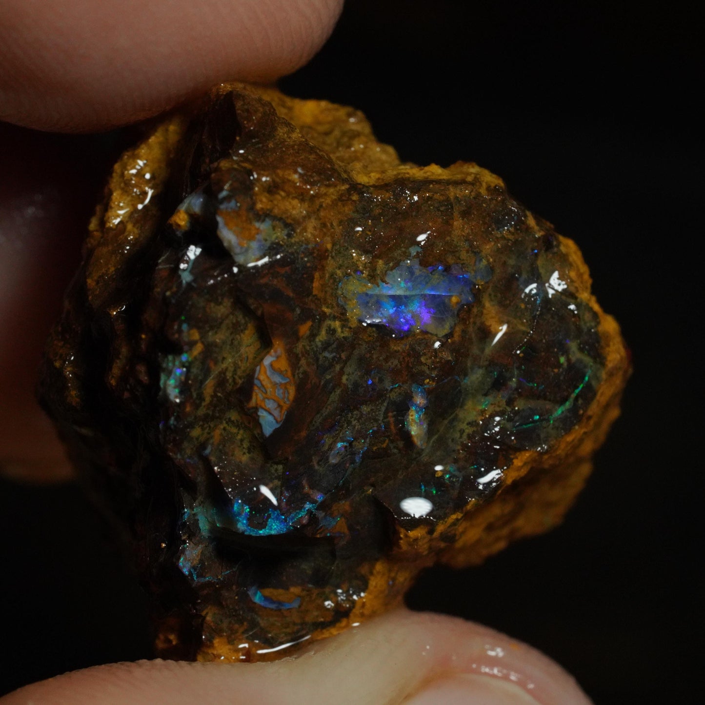 Rough Boulder Opal