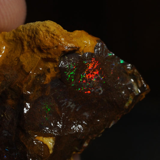 Rough Boulder Opal