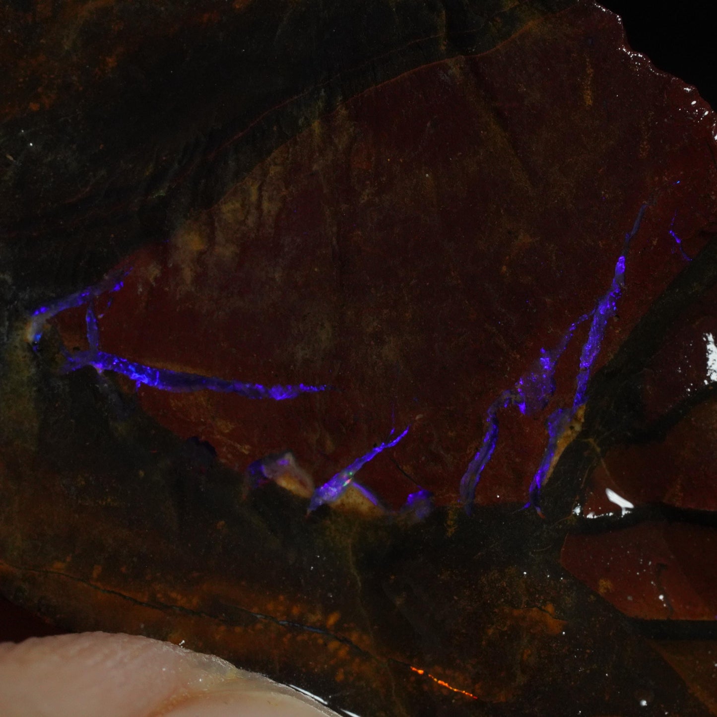 Rough Boulder Opal