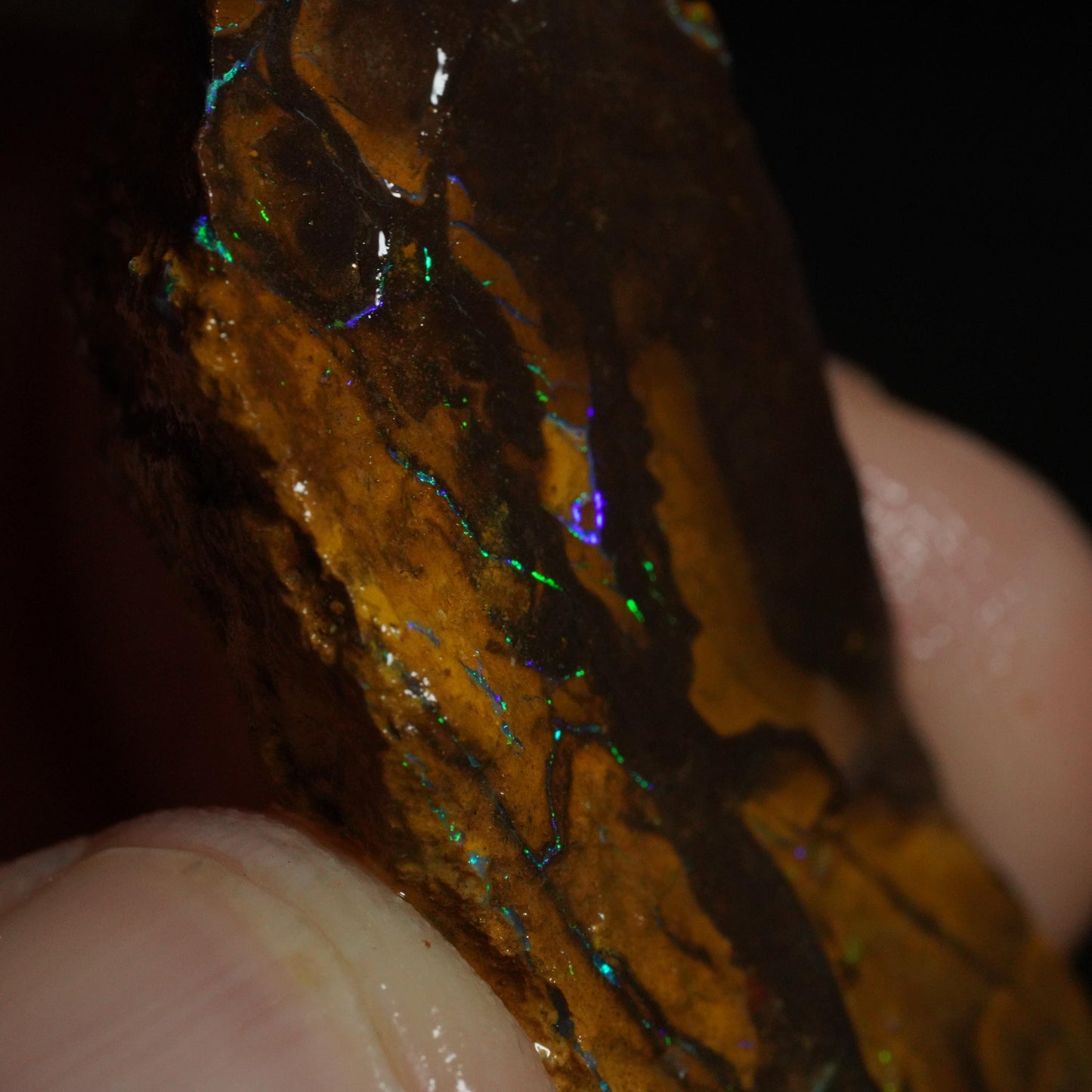 Rough Boulder Opal