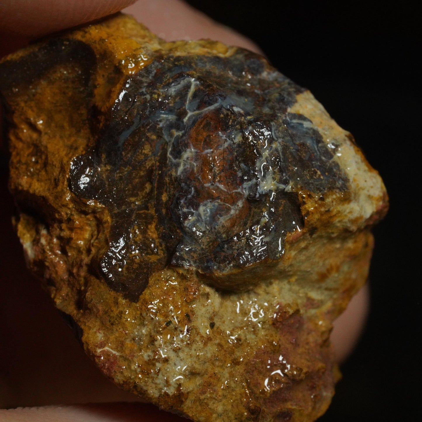 Rough Boulder Opal